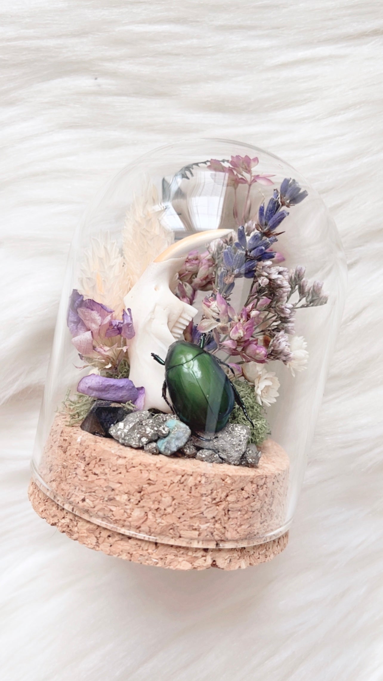 Jess Terrarium