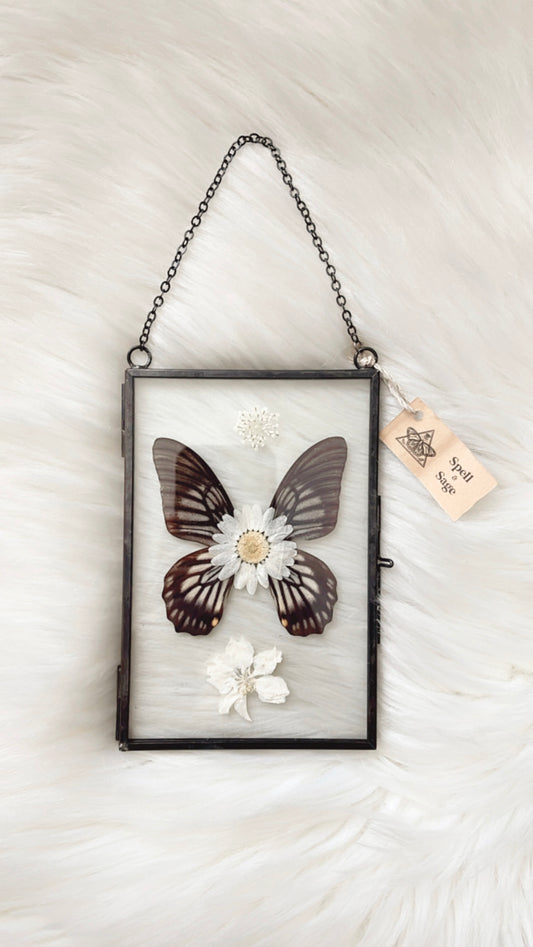 Josephine Butterfly Floral Frame <4x6in>