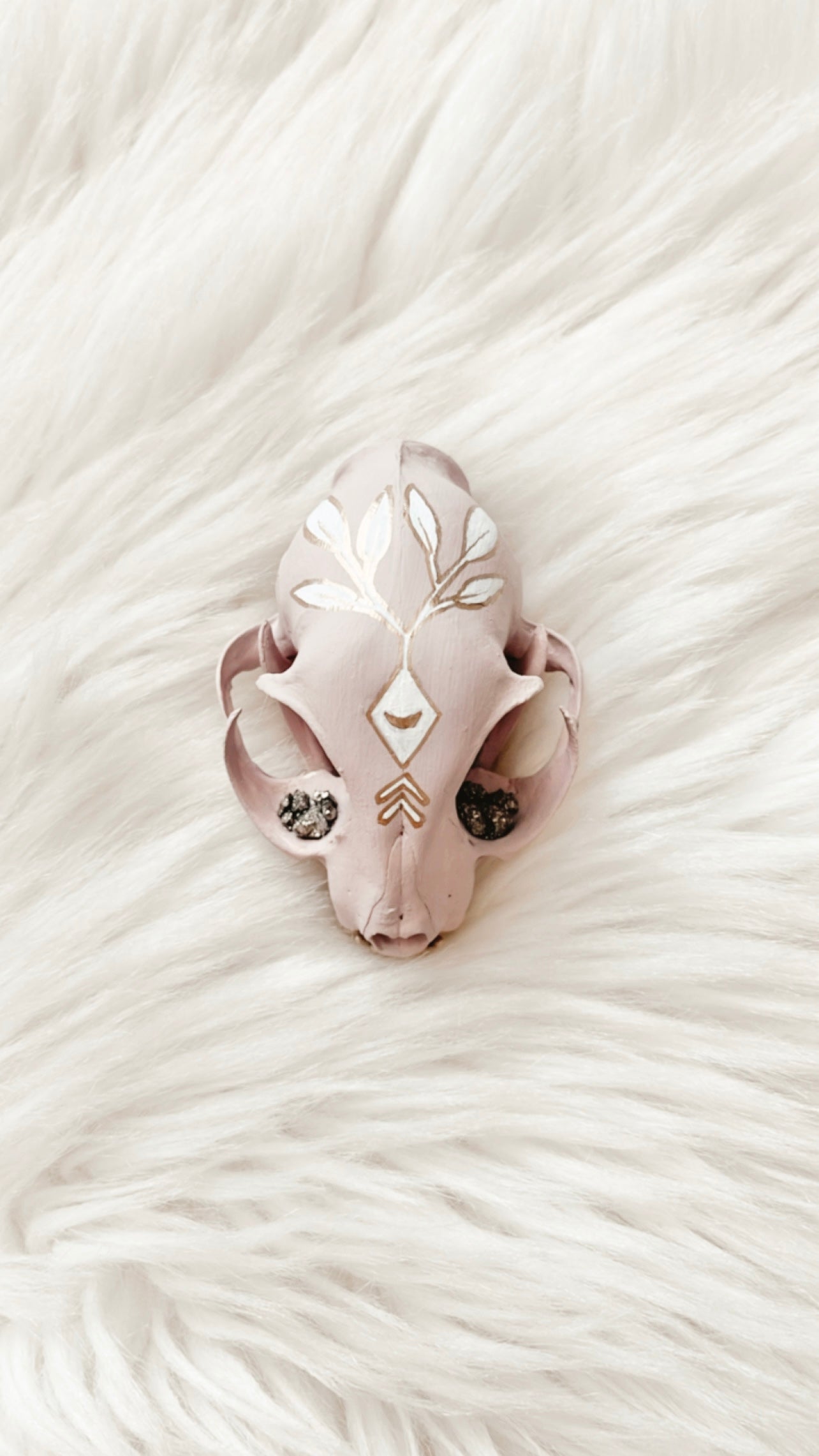 Josephine Cat Skull