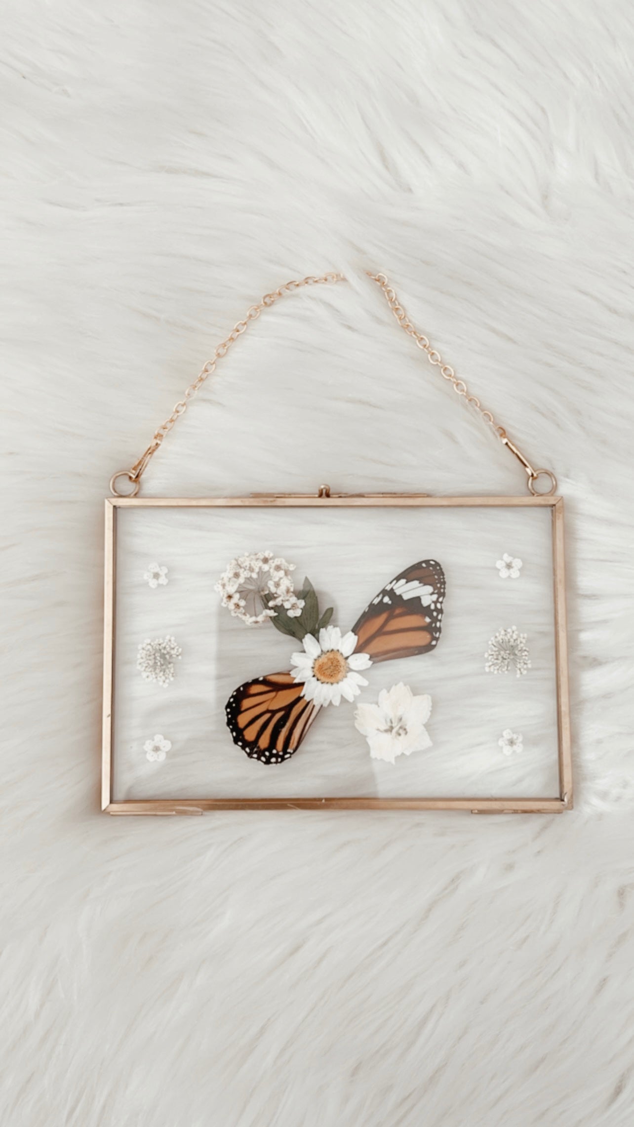Josephine Butterfly Floral Frame