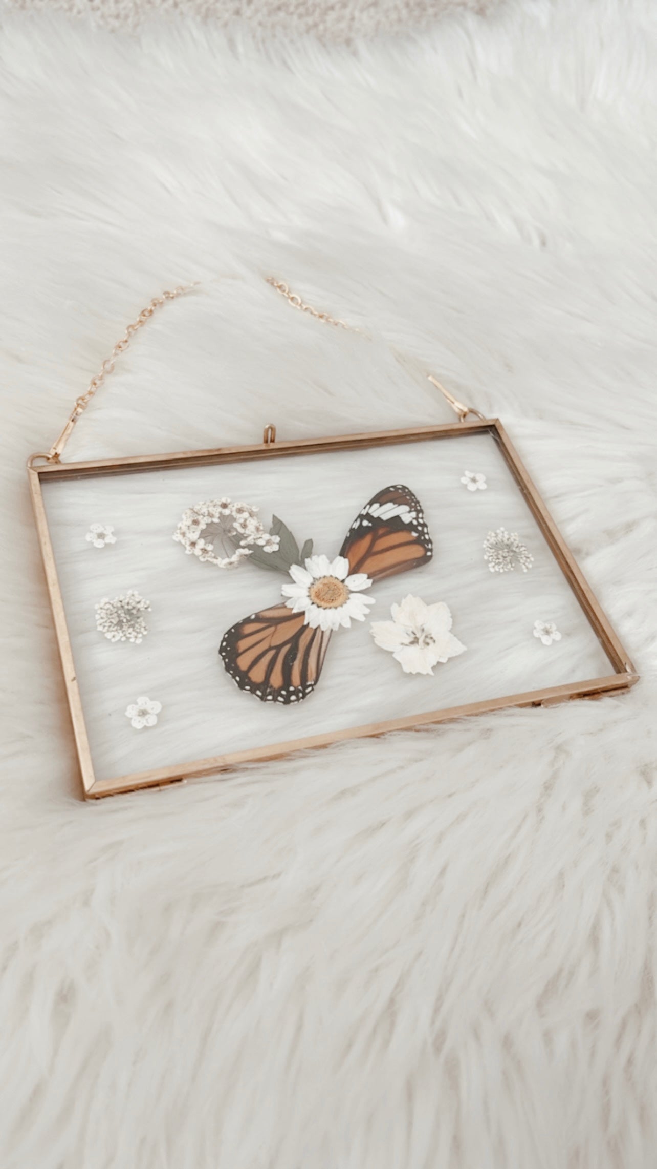 Josephine Butterfly Floral Frame