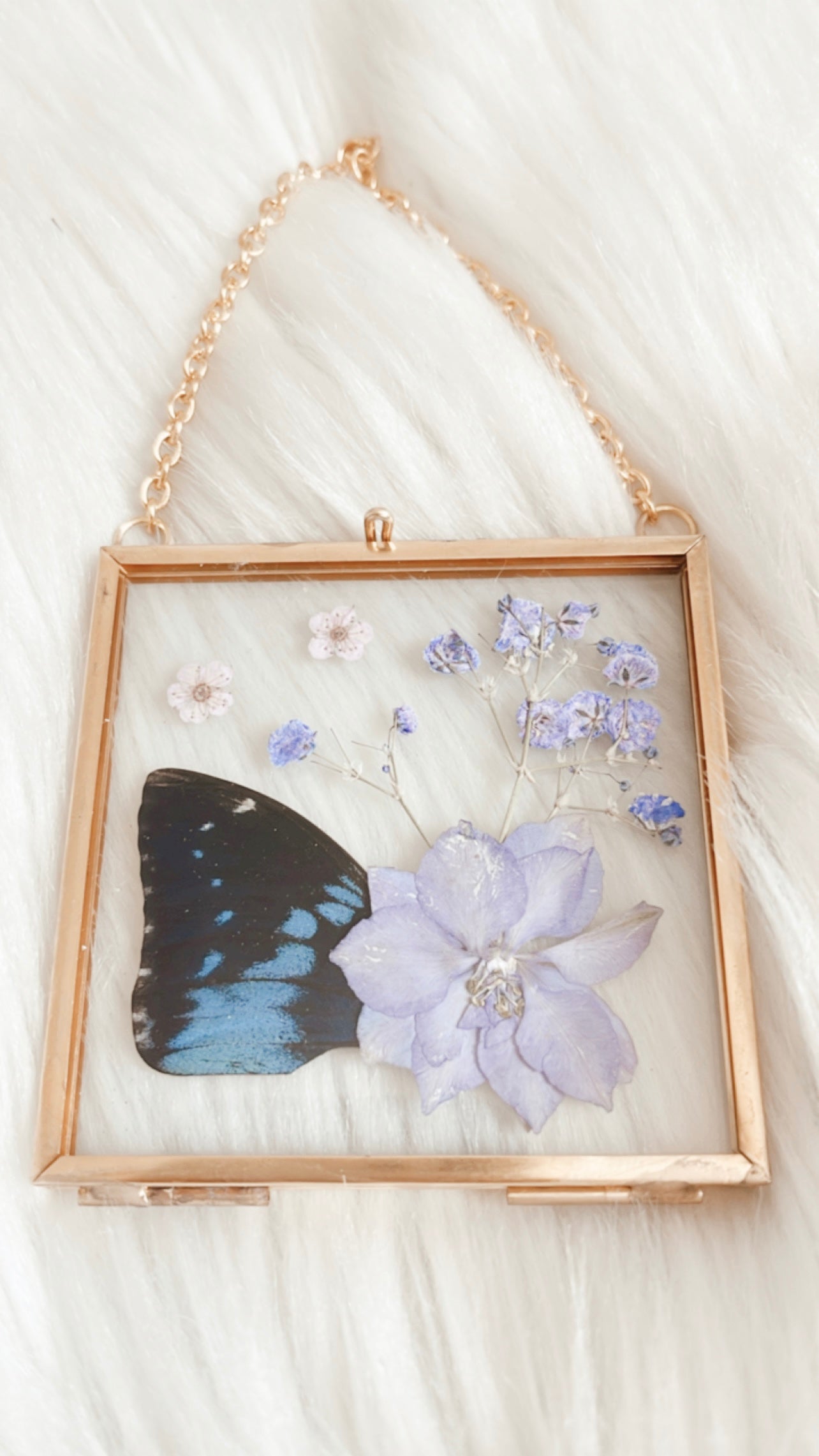 Joyce Butterfly Floral Frame