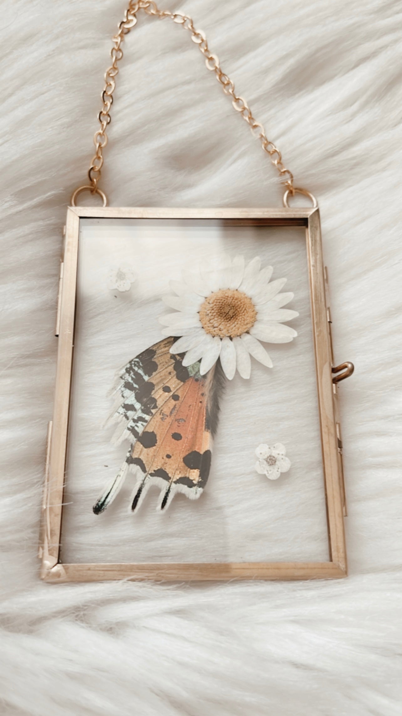 Joyce Moth Floral Frame