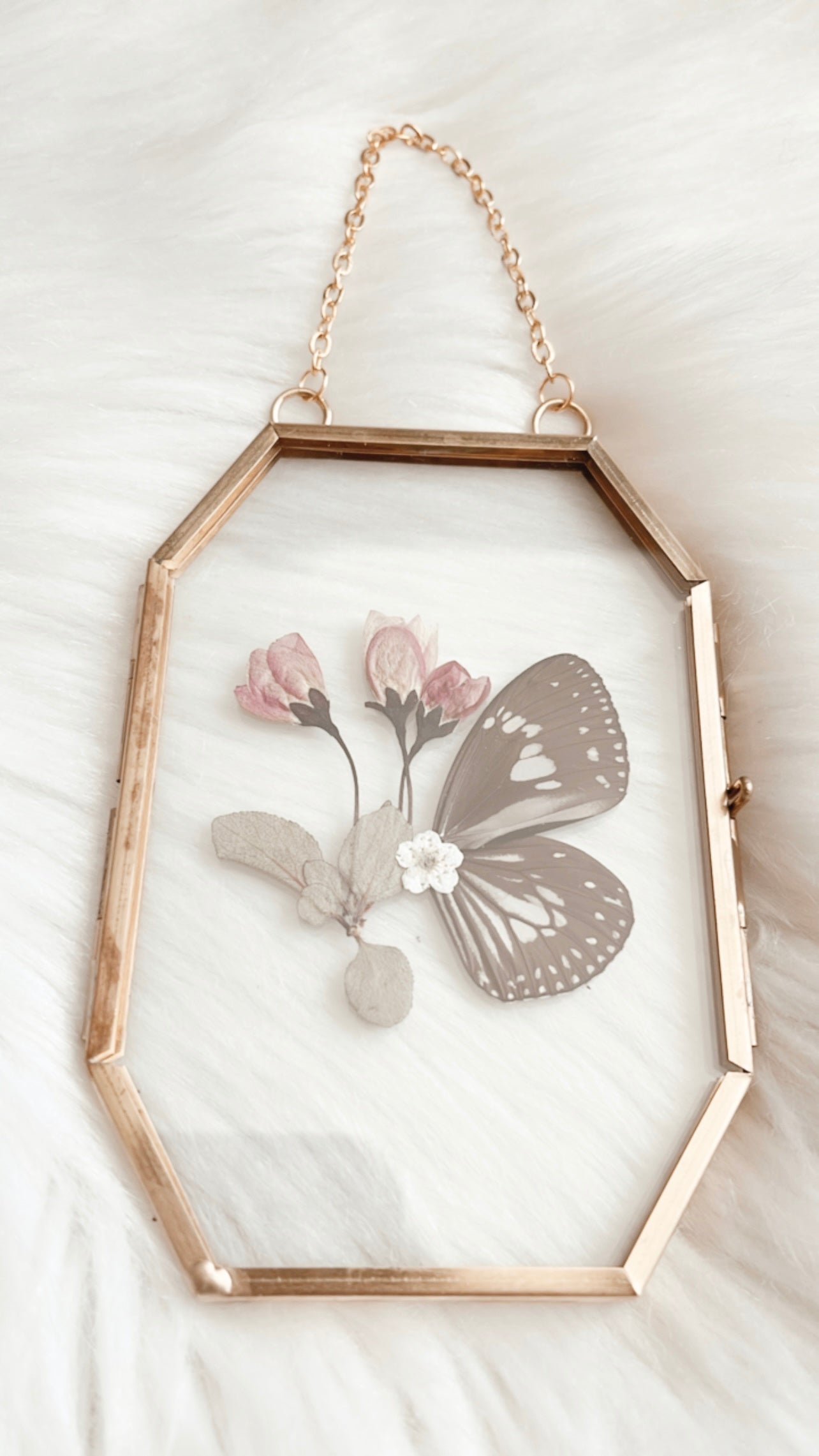 Julia Butterfly Floral Frame