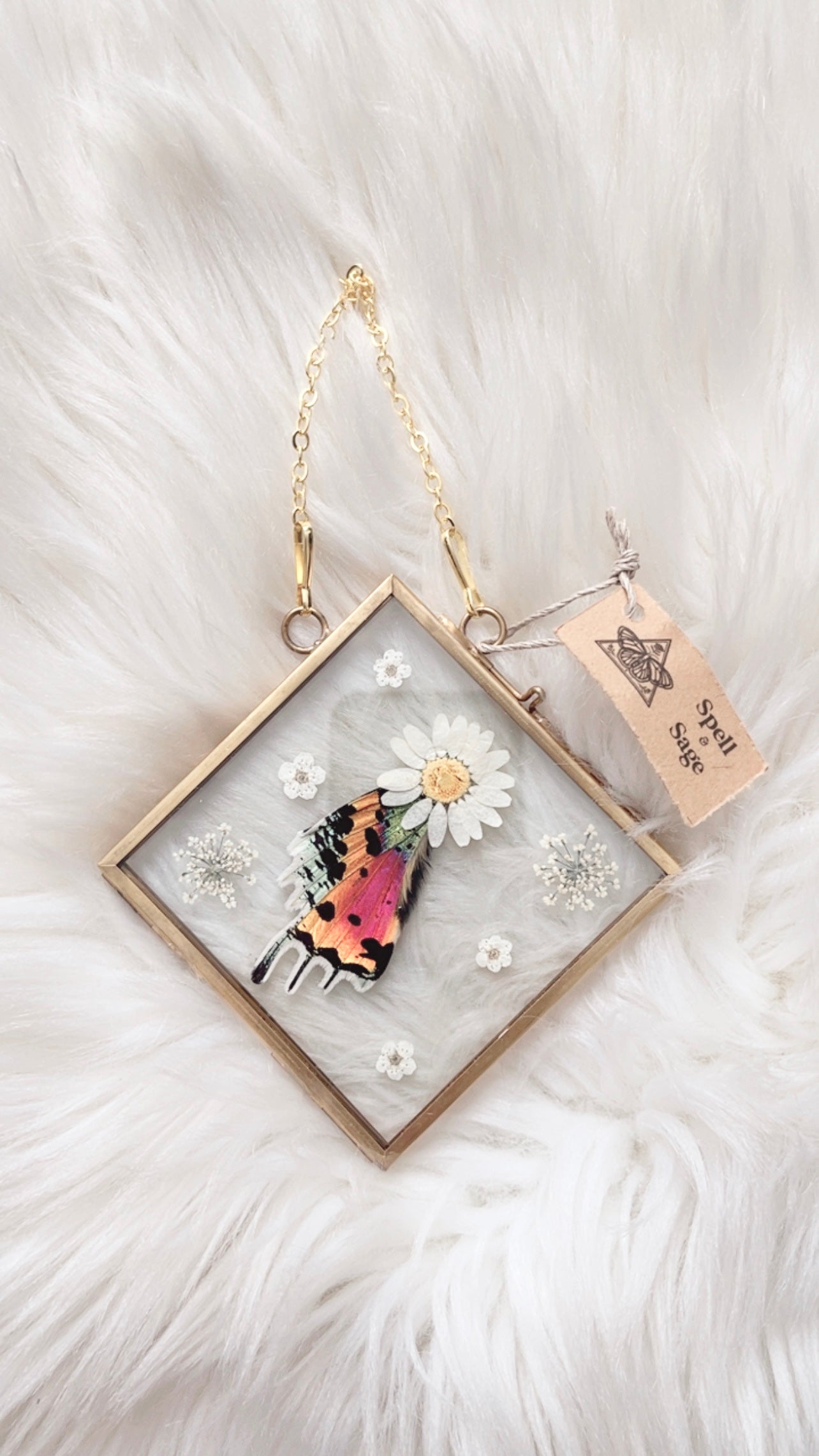Juniper Moth Floral Frame <4.75x4.75in>