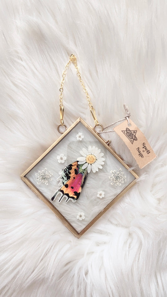 Juniper Moth Floral Frame <4.75x4.75in>