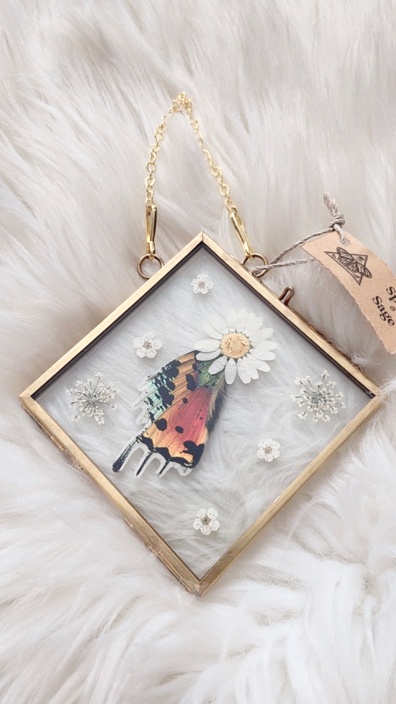 Juniper Moth Floral Frame <4.75x4.75in>