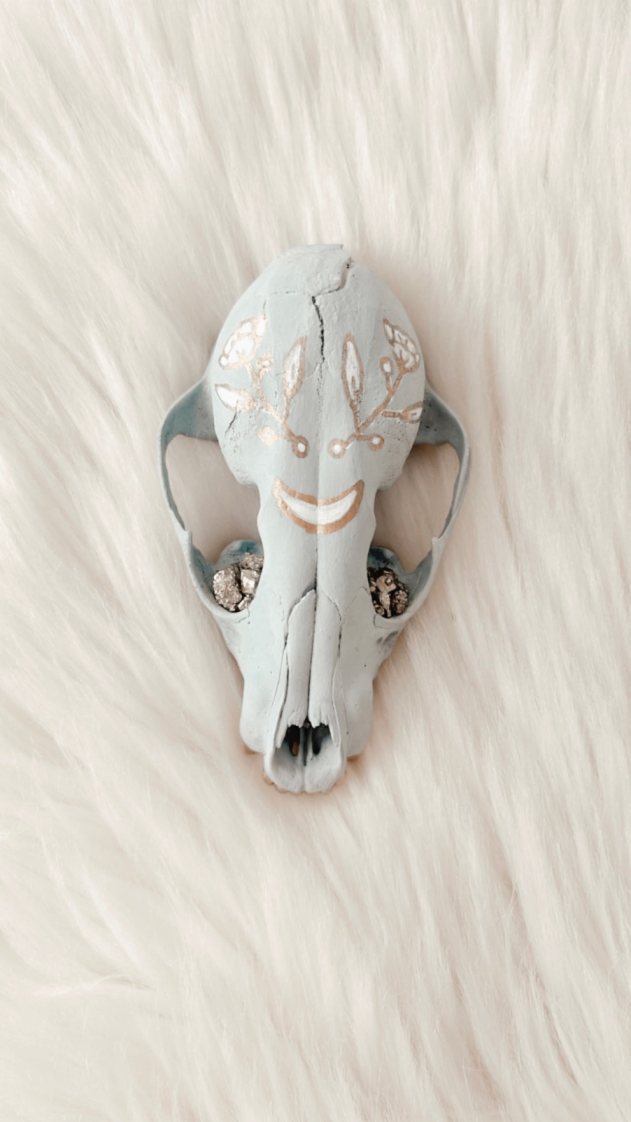 Juniper Raccoon Skull