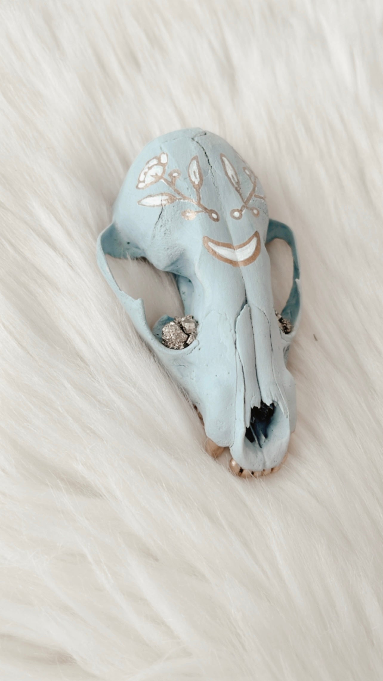 Juniper Raccoon Skull