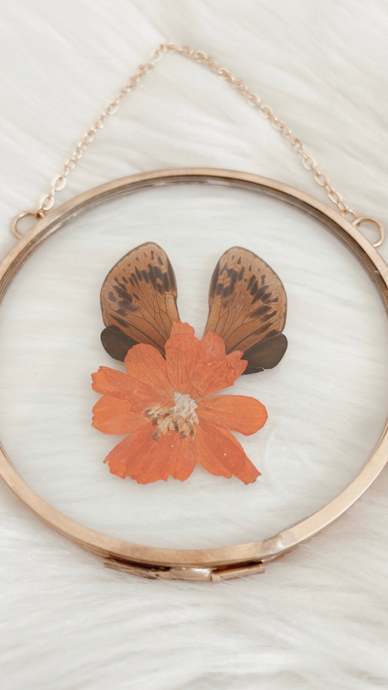 Juno Cicada Floral Frame