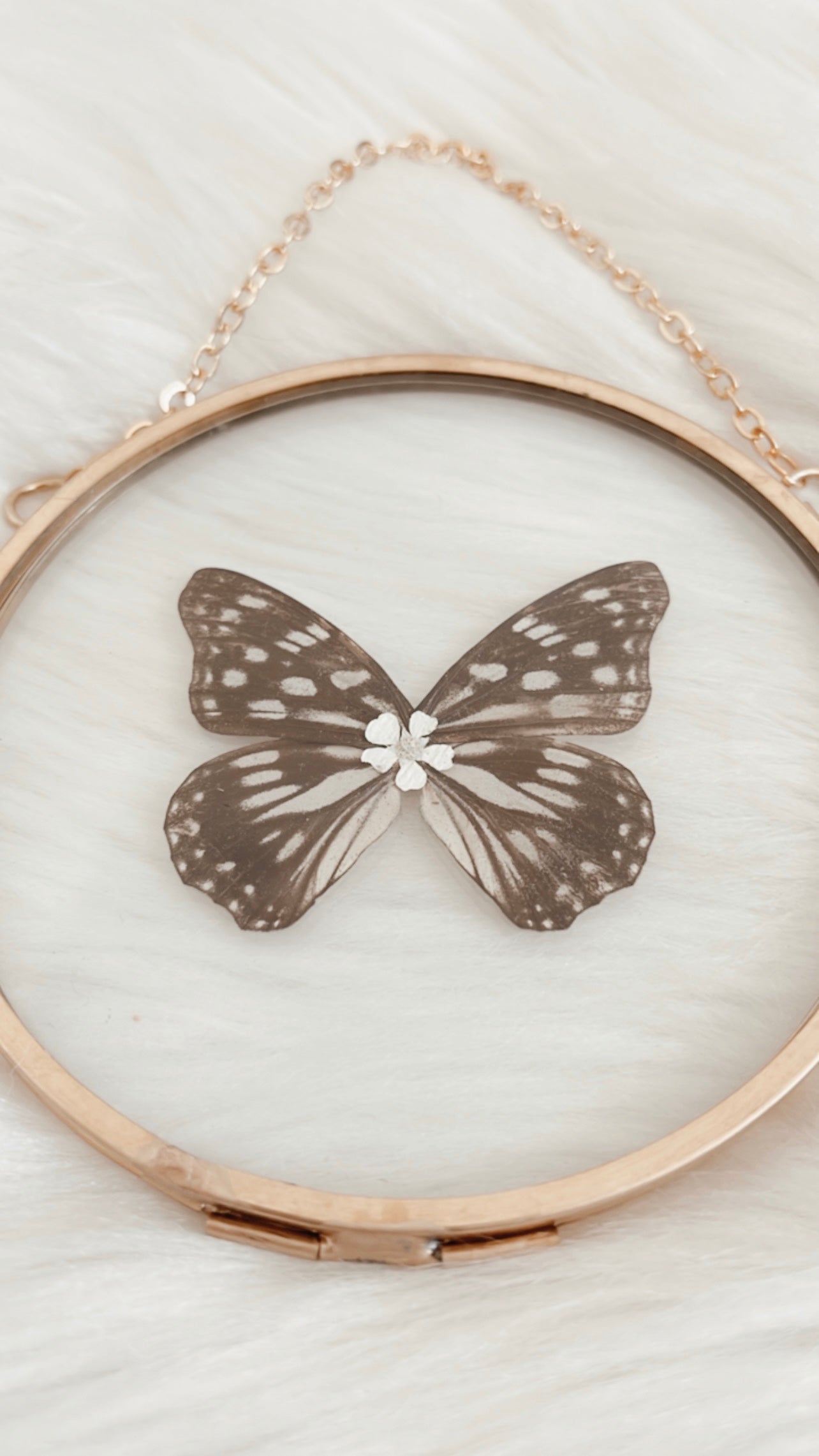 Kaedi Butterfly Floral Frame