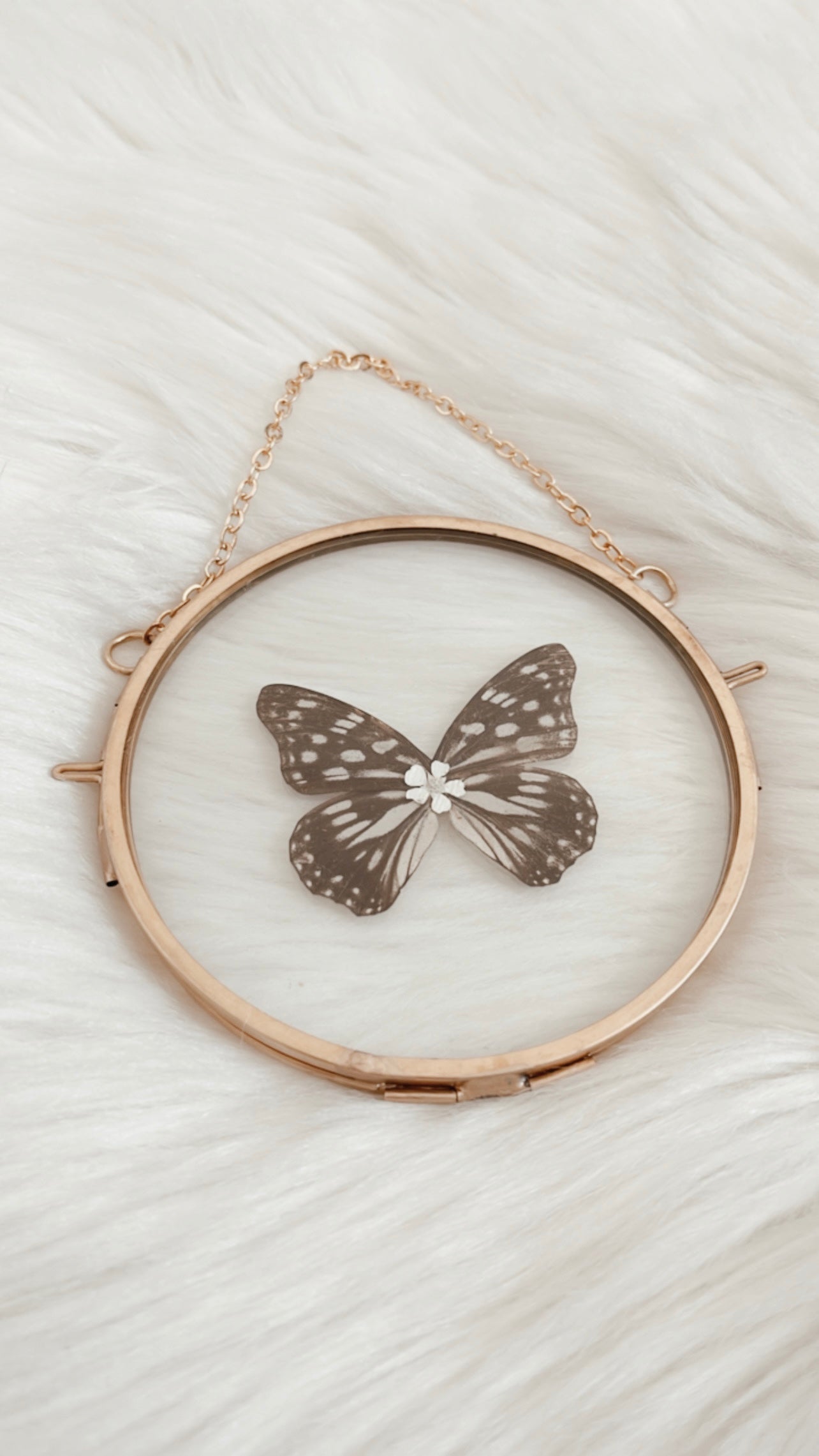 Kaedi Butterfly Floral Frame