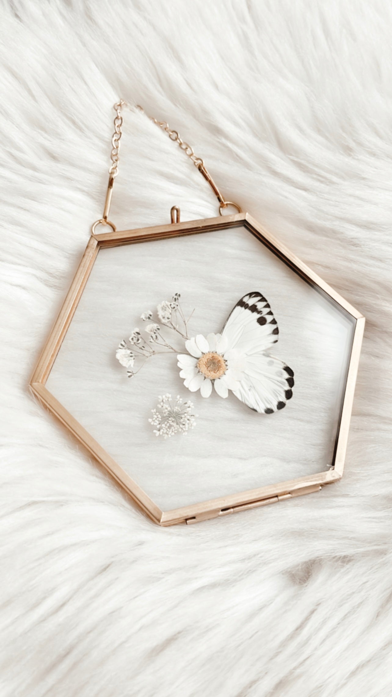 Kaia Butterfly Floral Frame