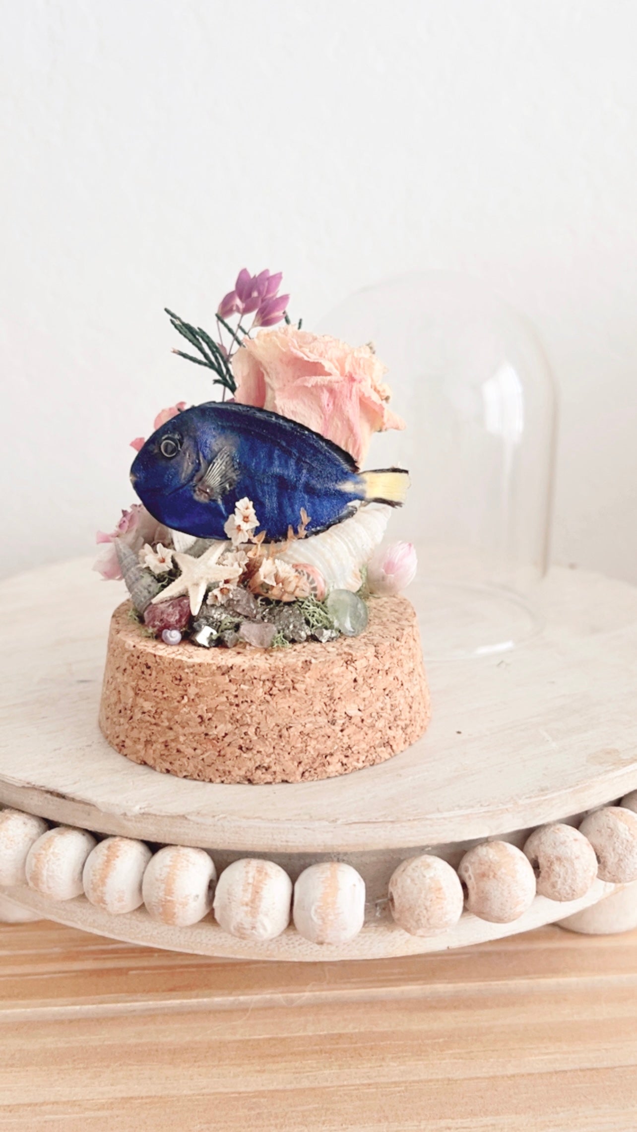 Kailani Terrarium