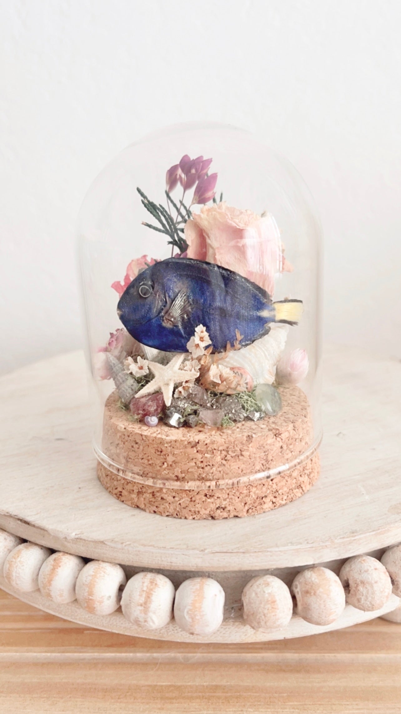 Kailani Terrarium