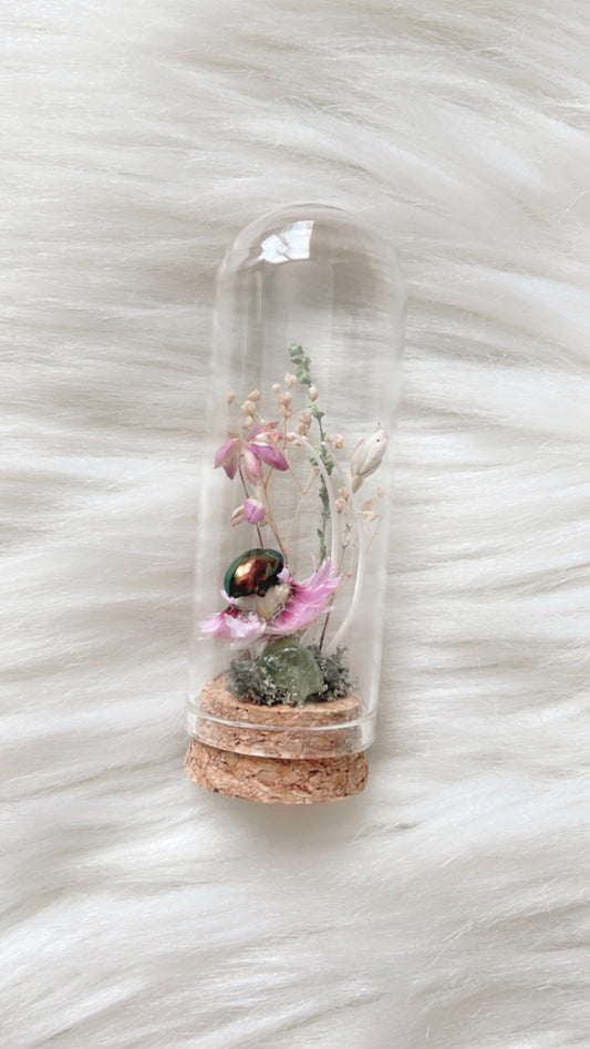 Karina Terrarium