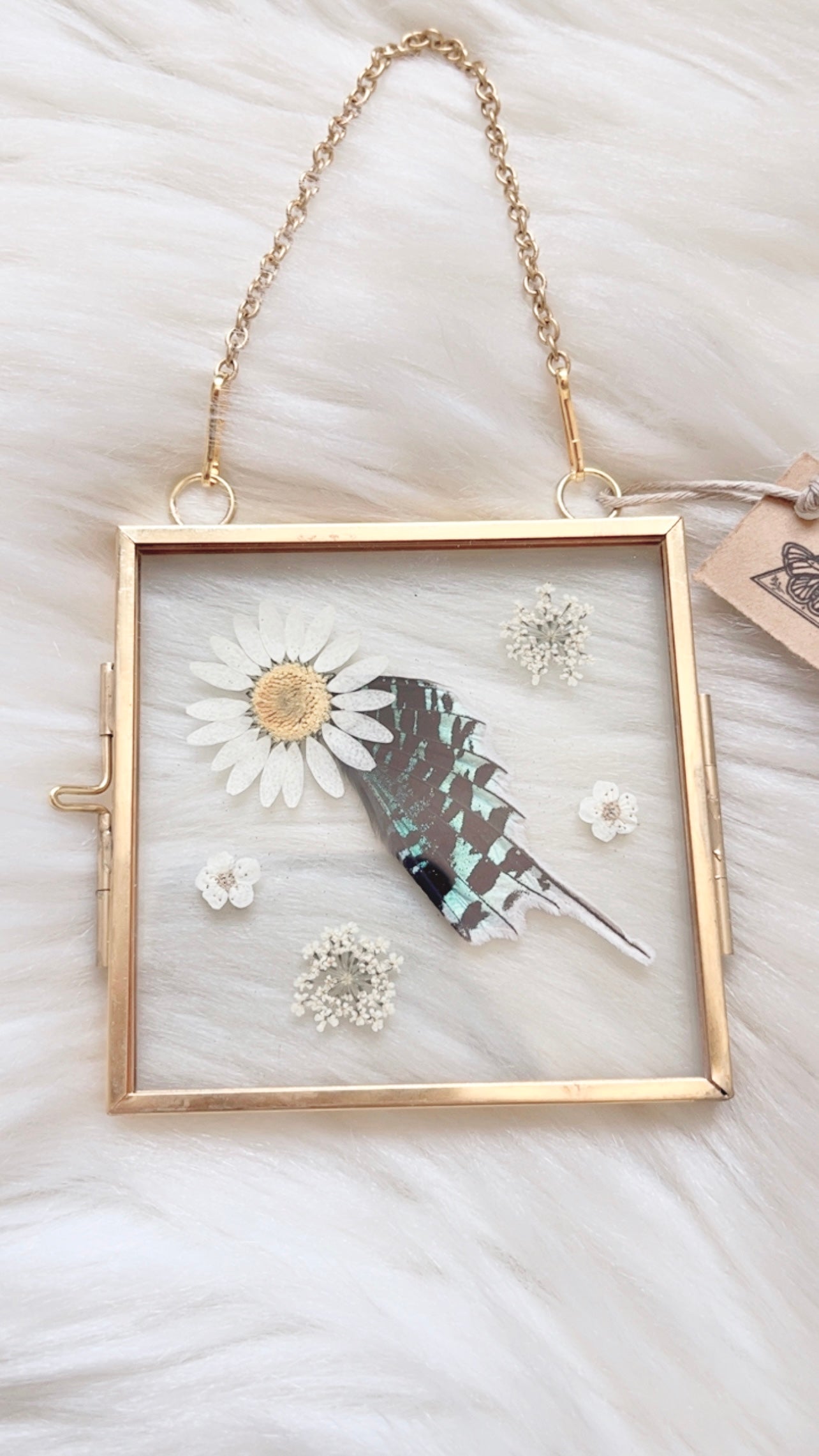 Kinsley Moth Floral Frame <3.25x3.25in>