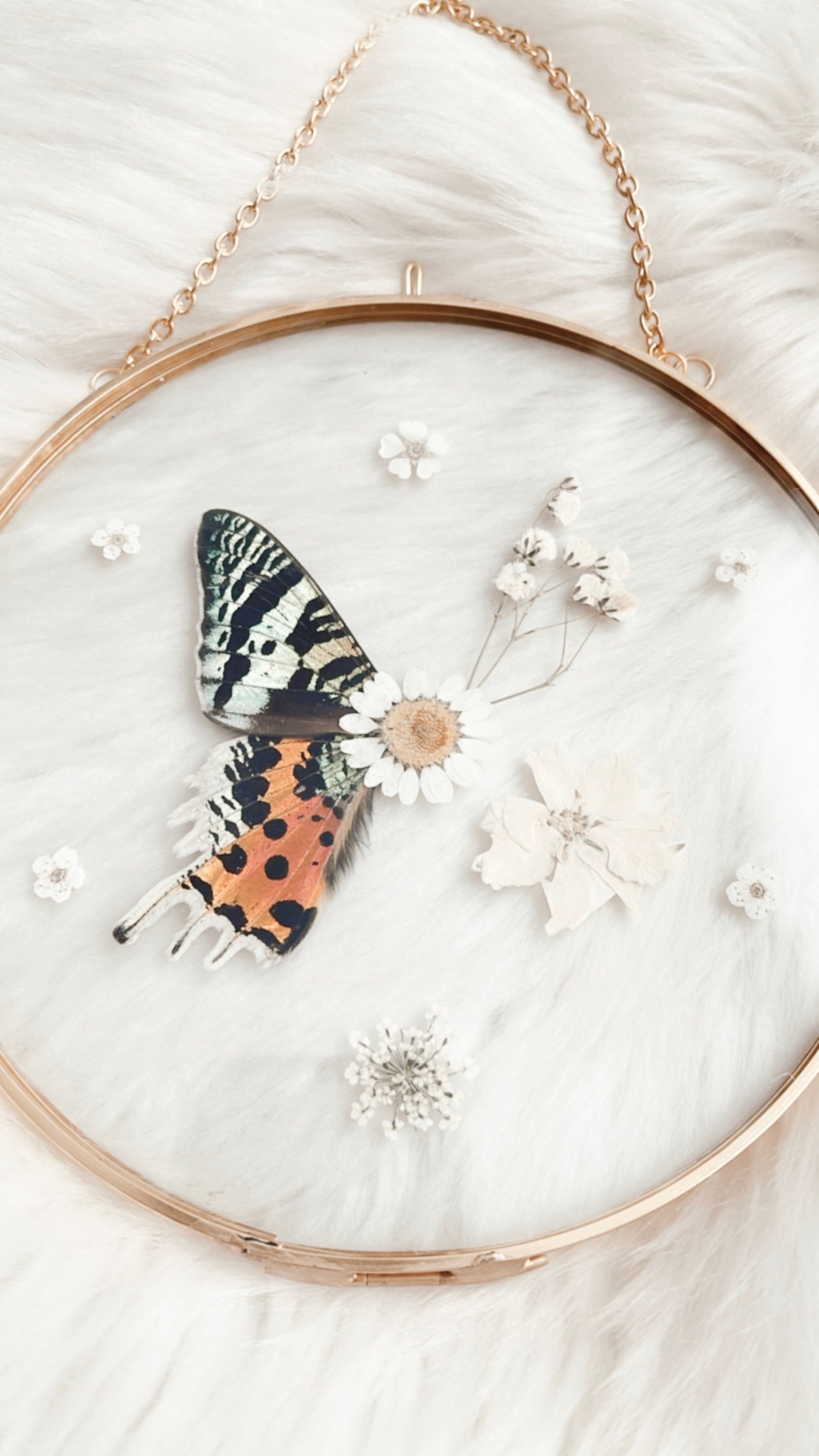 ❋ October 12 in LAFAYETTE ❋ 1:30p - Sunset Moth Floral Frame Workshop