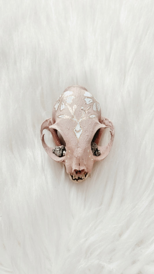 Kylie Cat Skull