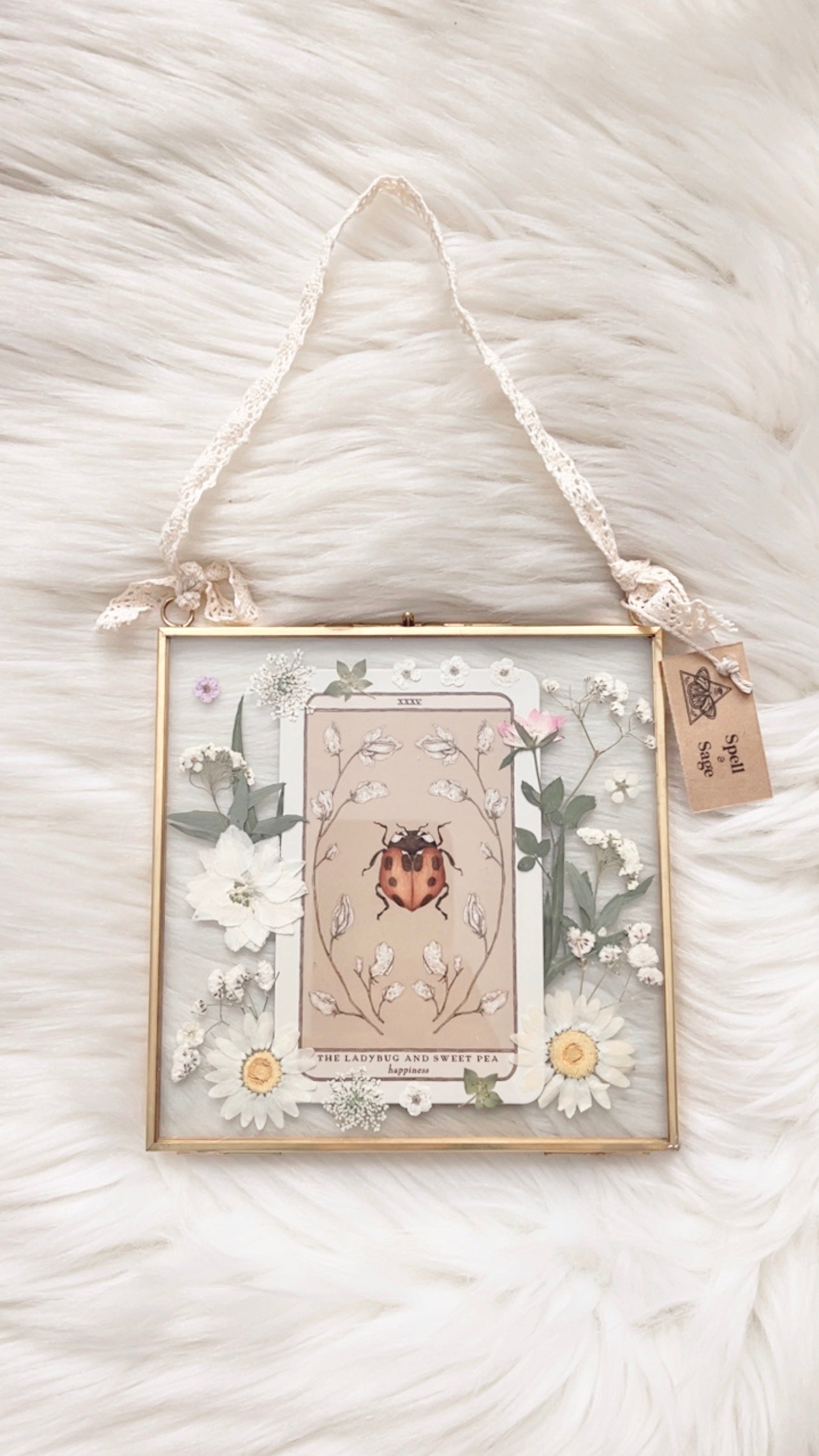 The Ladybug and Sweet Pea Oracle Floral Frame