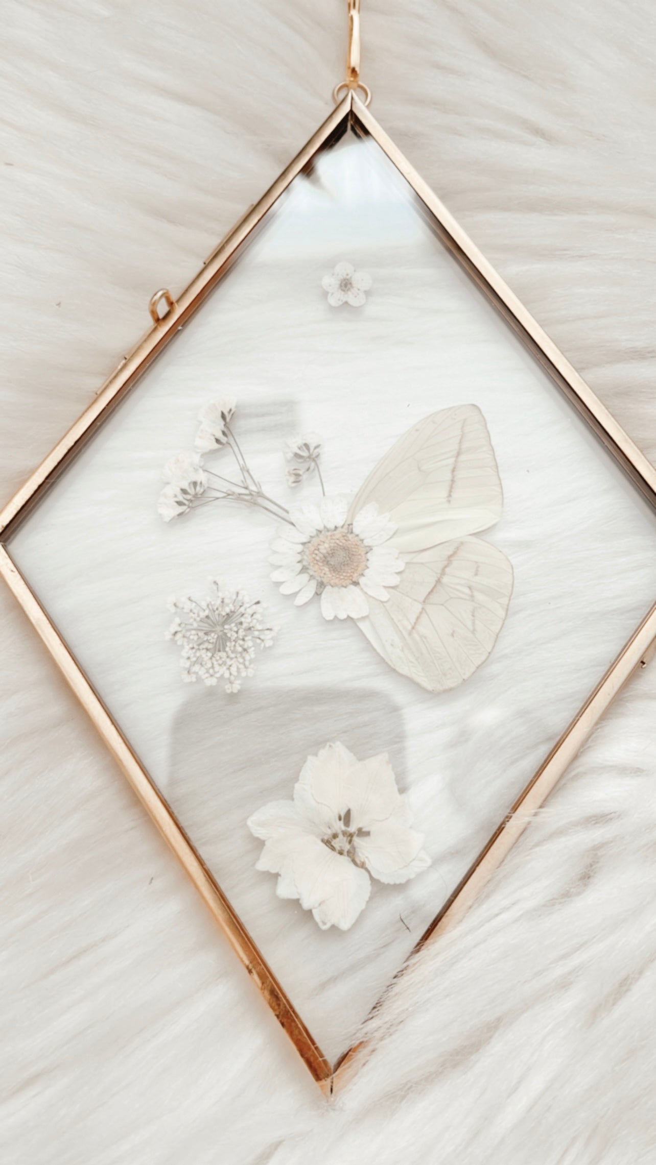 Lana Butterfly Floral Frame