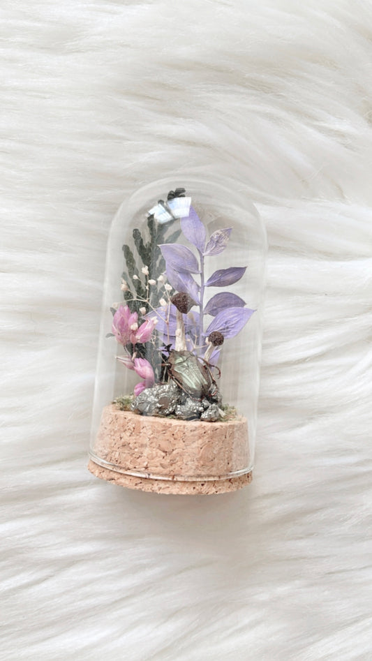 Lark Terrarium
