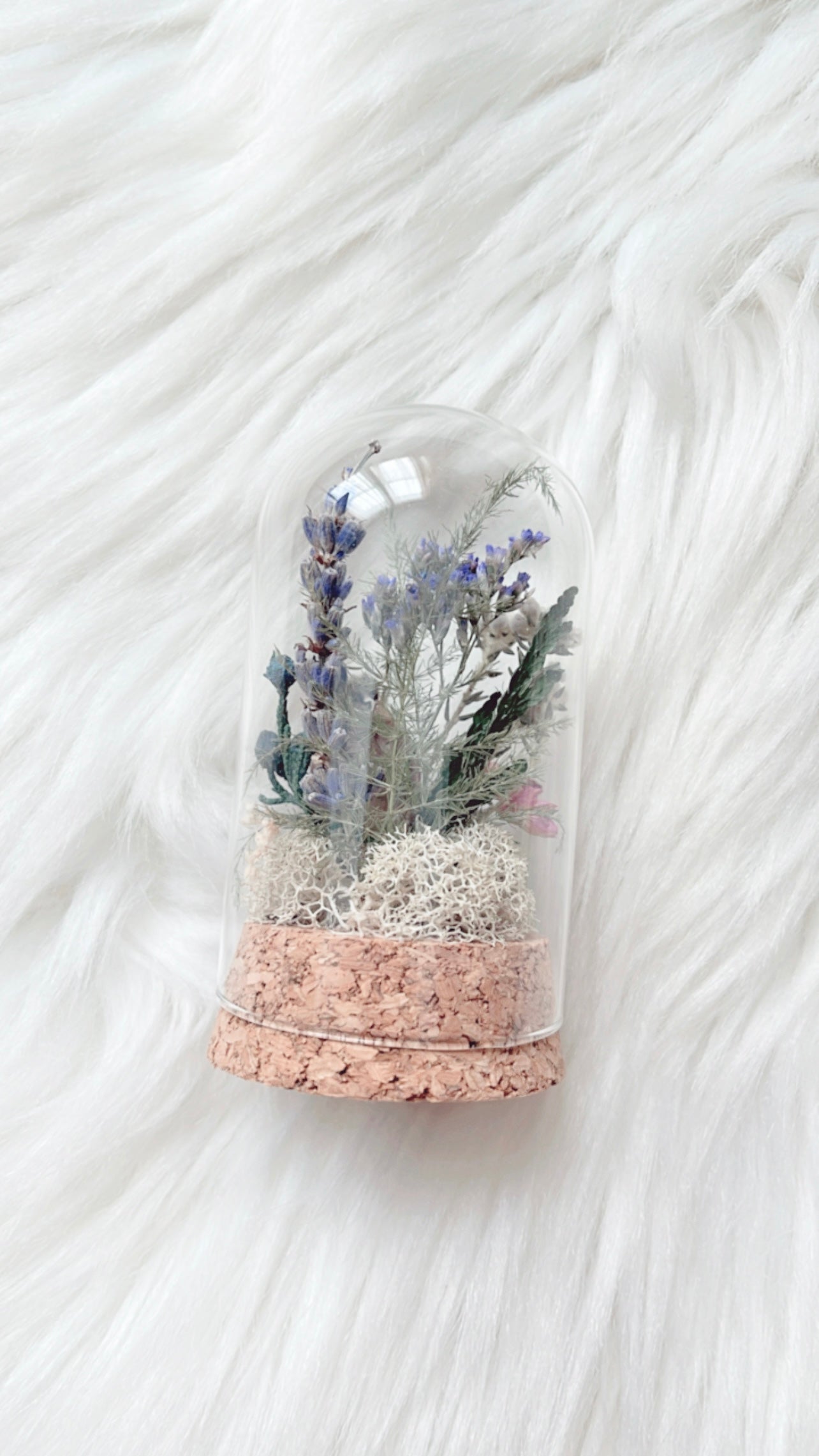 Lark Terrarium