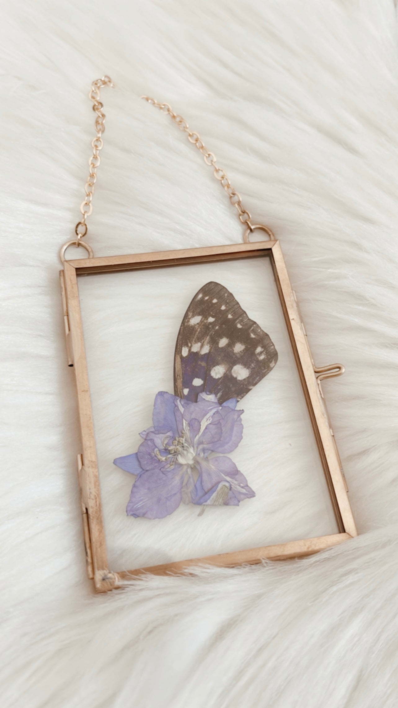Laura Butterfly Floral Frame