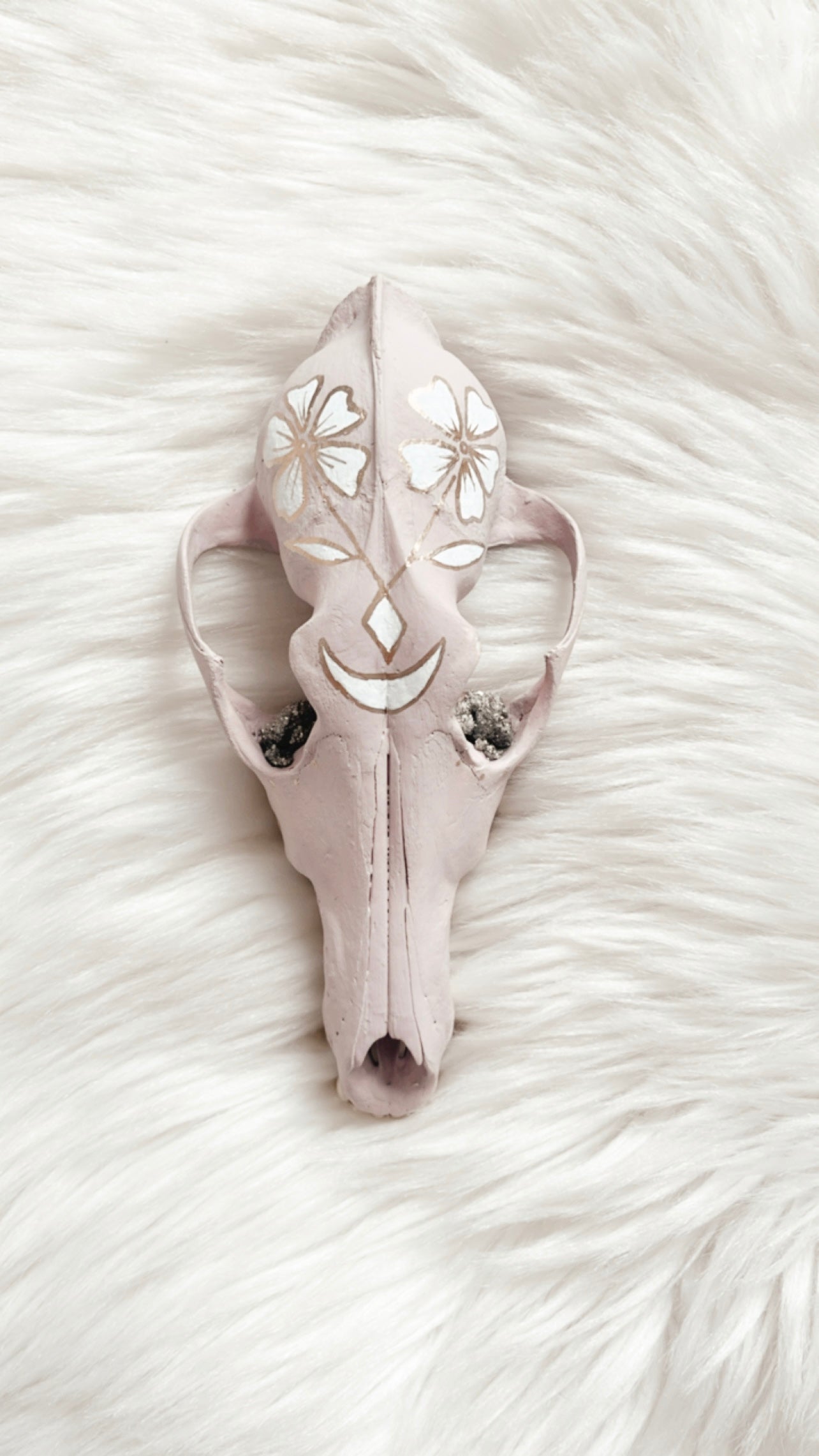 Lavender Coyote Skull