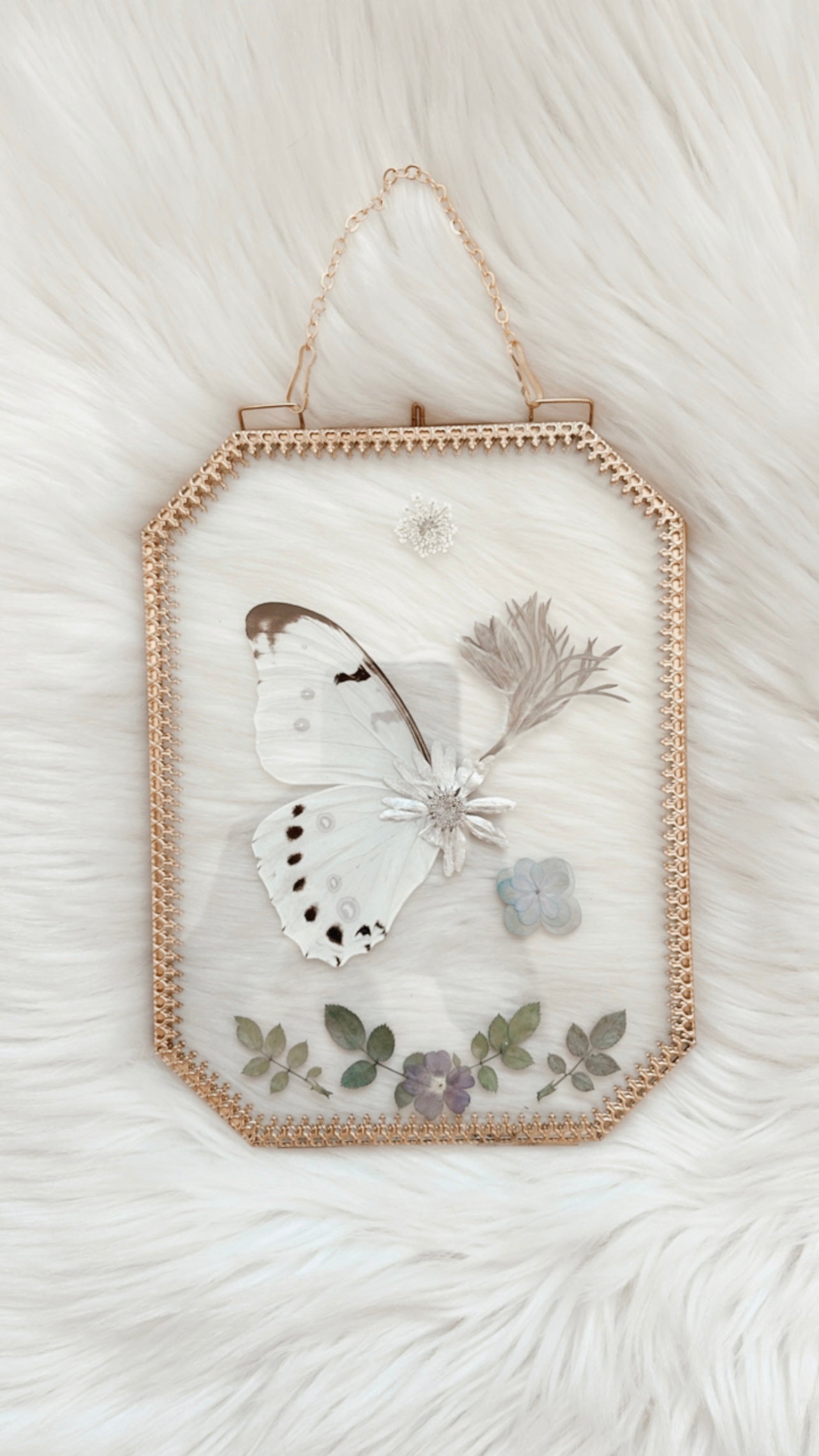 Lavinia Butterfly Floral Frame