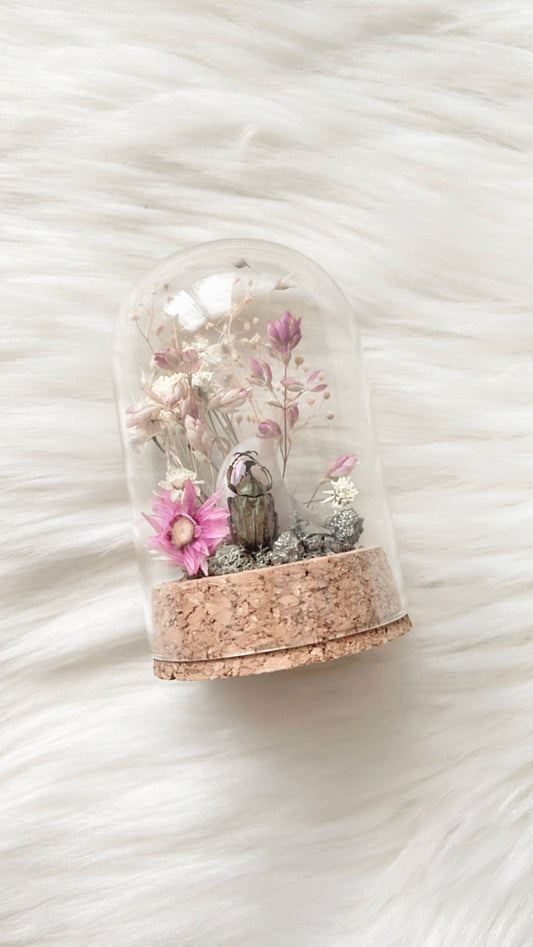 Lavinia Terrarium