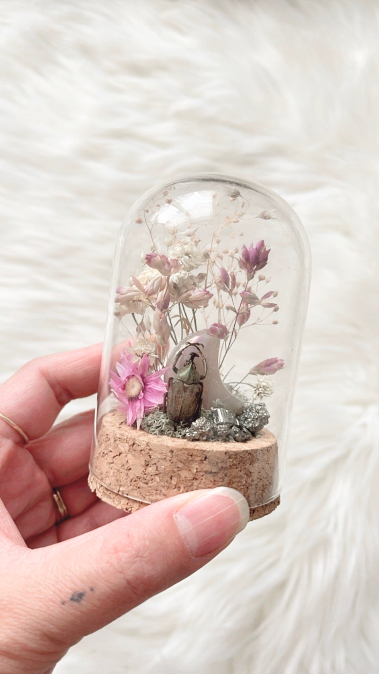 Lavinia Terrarium