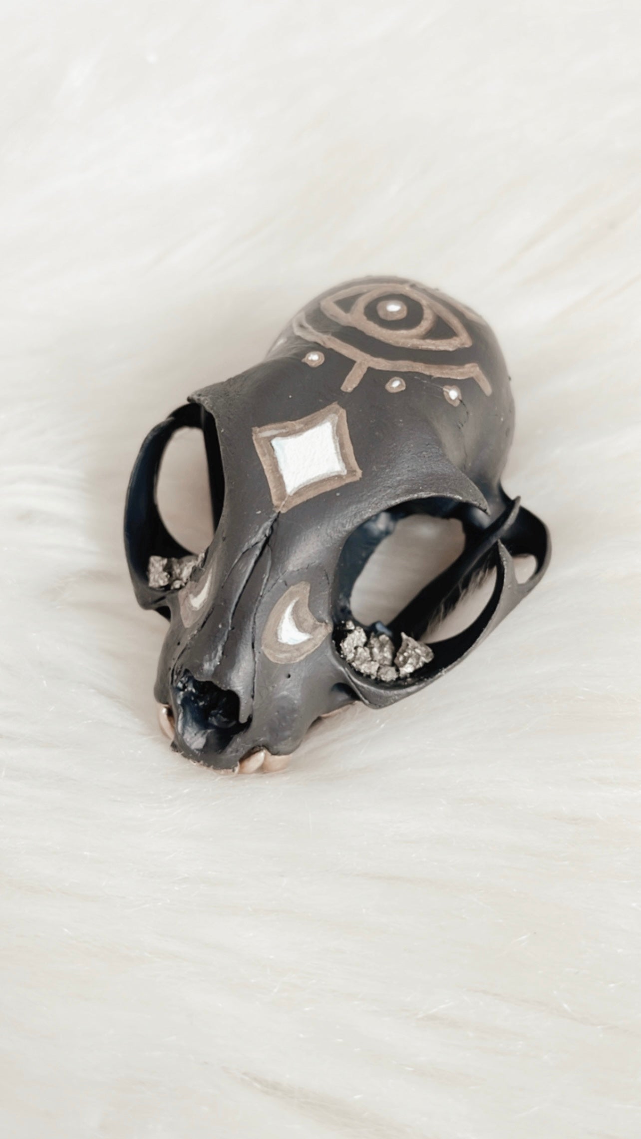 Lennon Cat Skull