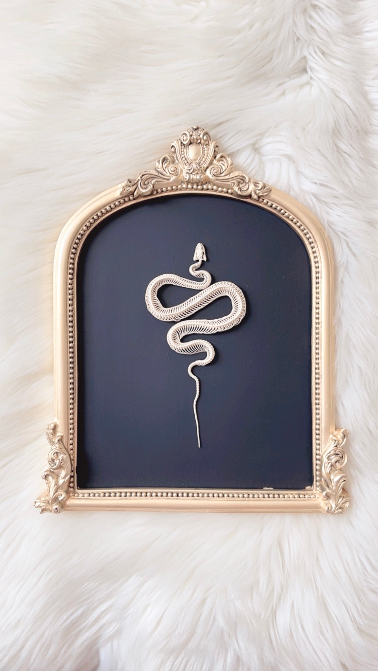 Lennon Oddities Frame <Snake Skelly>
