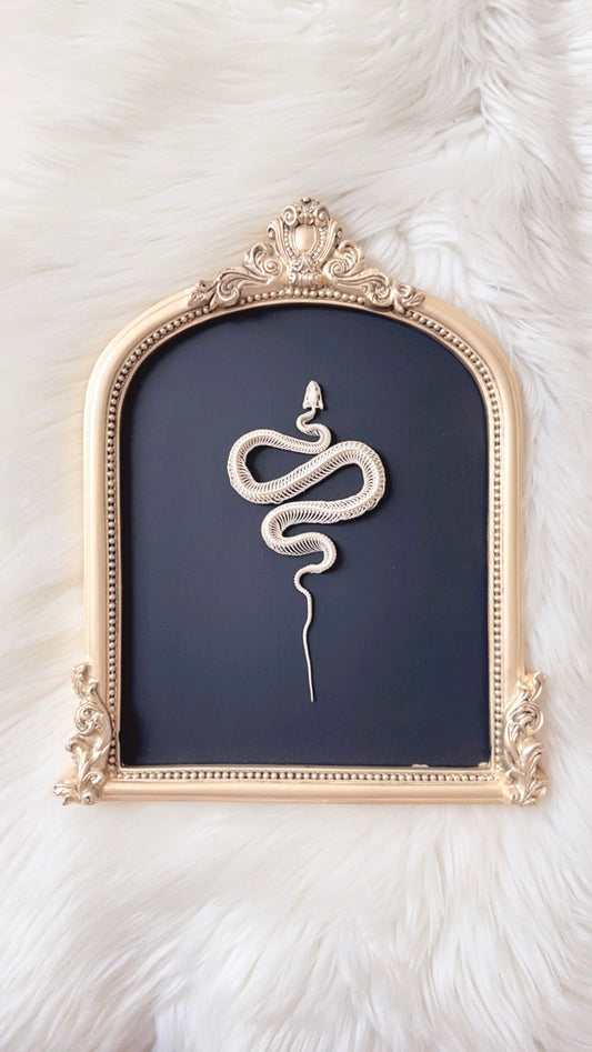 Lennon Oddities Frame <Snake Skelly>