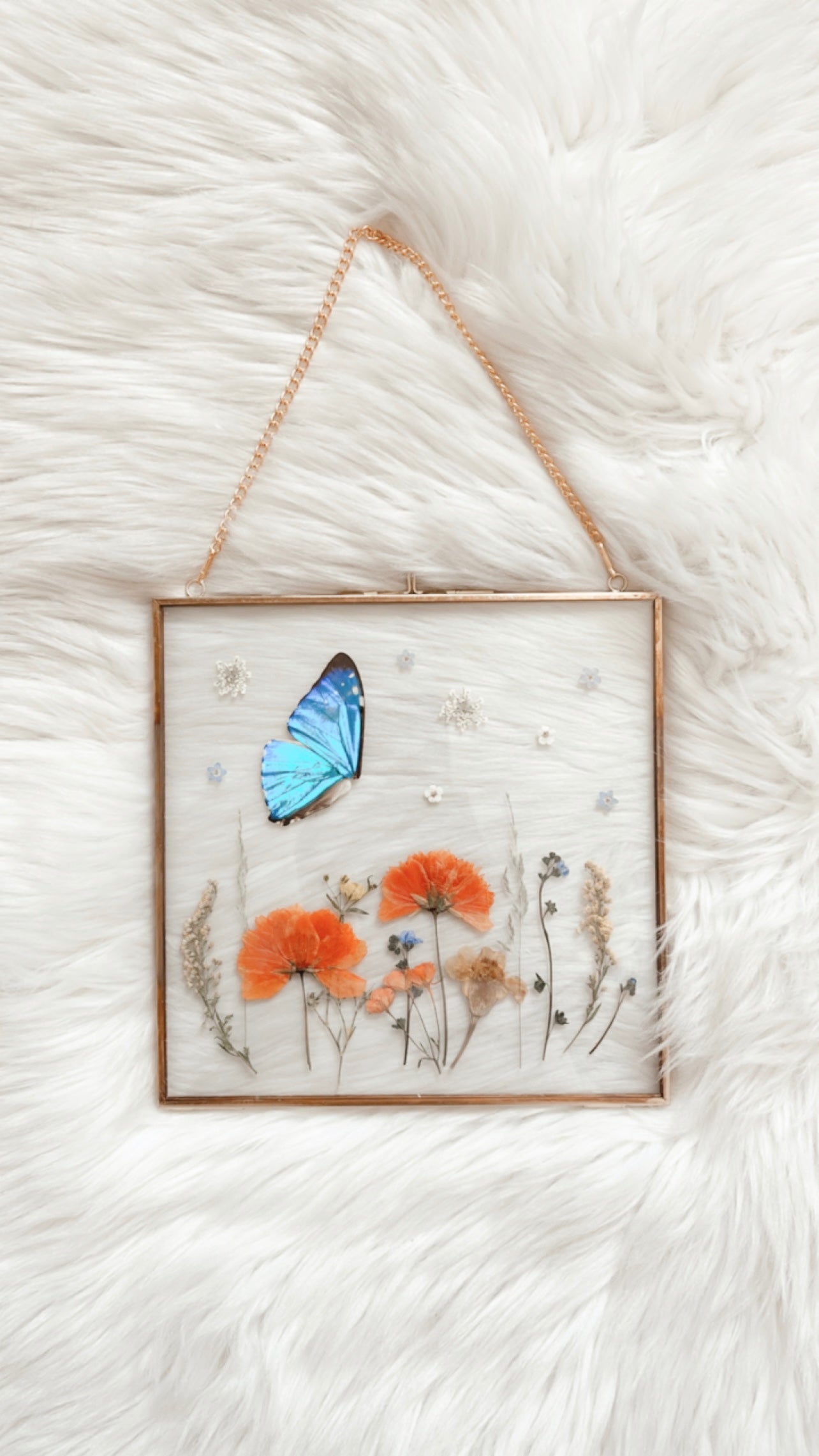 Lexi Butterfly Floral Frame