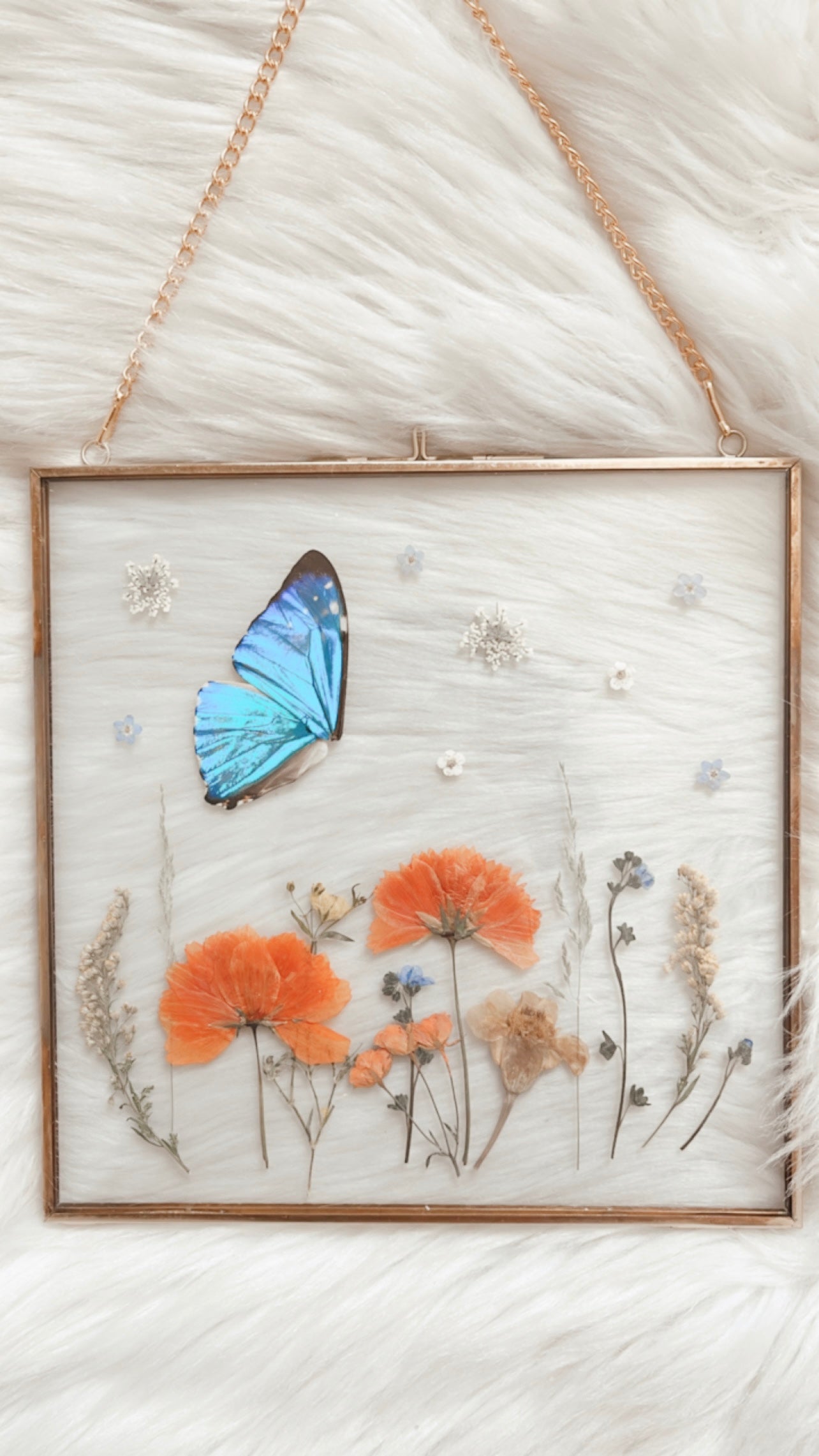 Lexi Butterfly Floral Frame