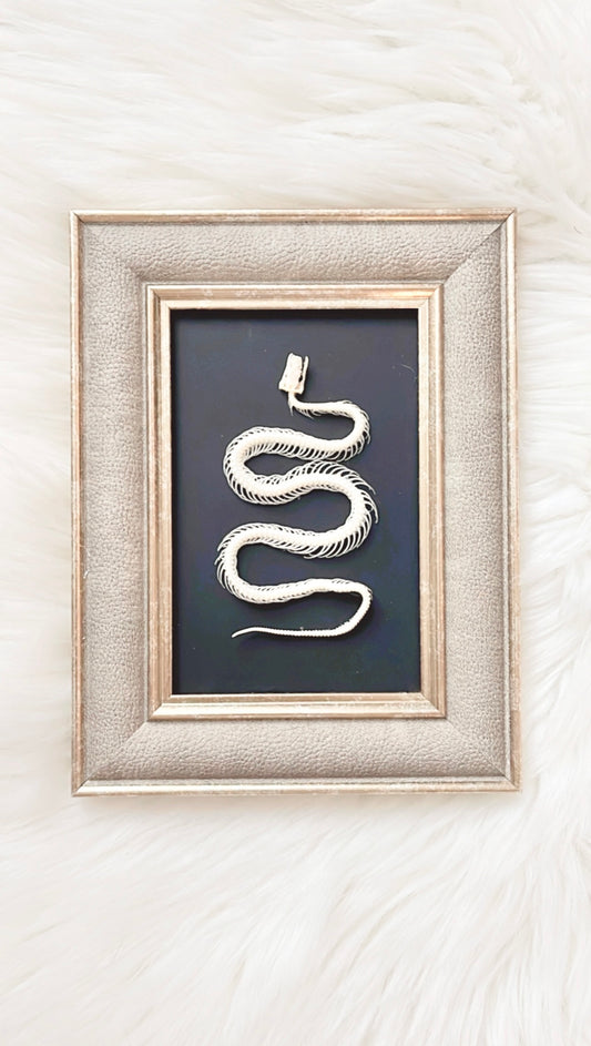 Lexi Snake Skelly Frame
