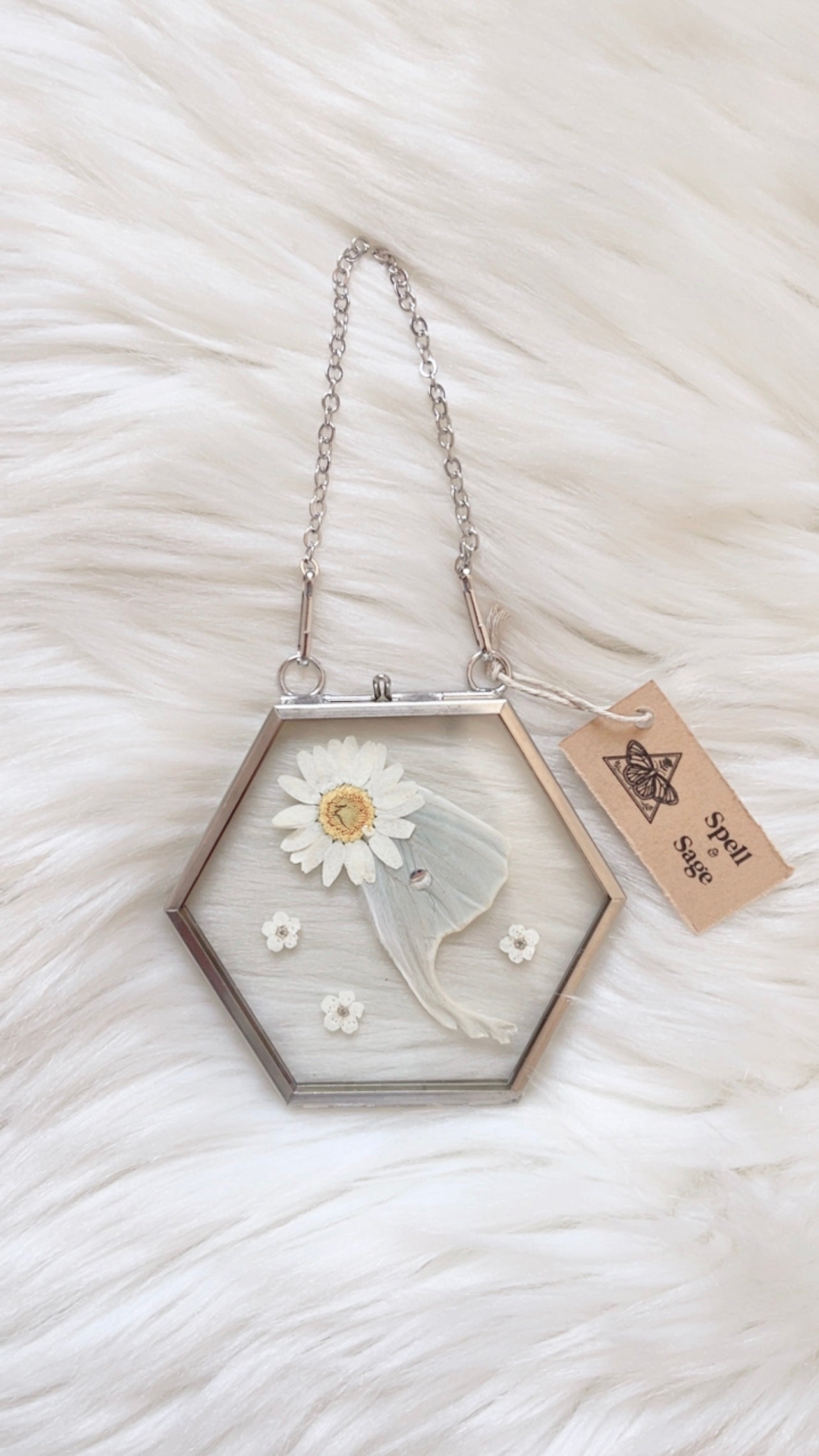 Lia Moth Floral Frame <3.75x3.5in>