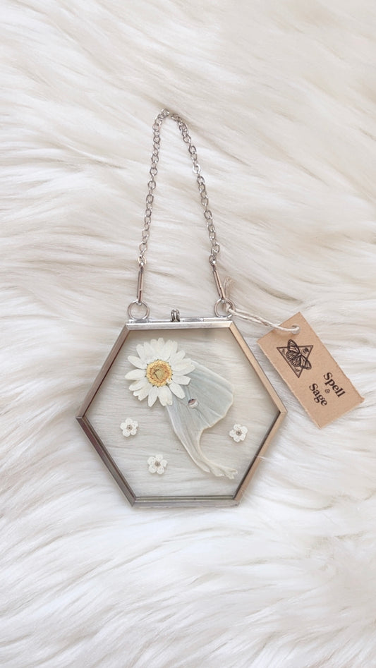Lia Moth Floral Frame <3.75x3.5in>