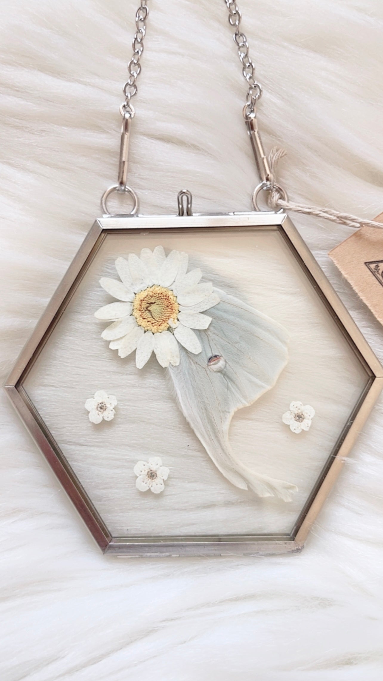 Lia Moth Floral Frame <3.75x3.5in>