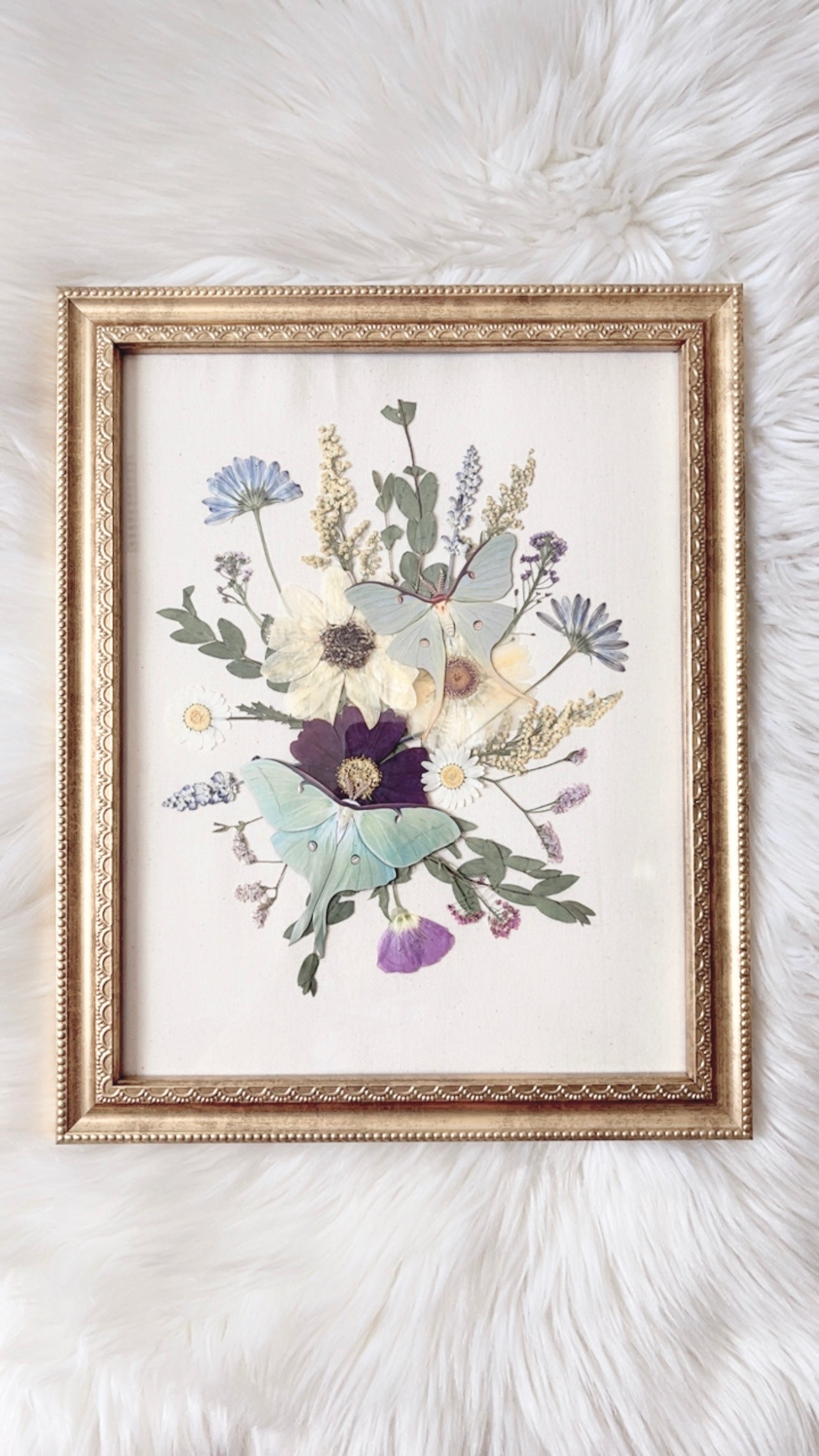 Lila Paper Replica Ornate Frame