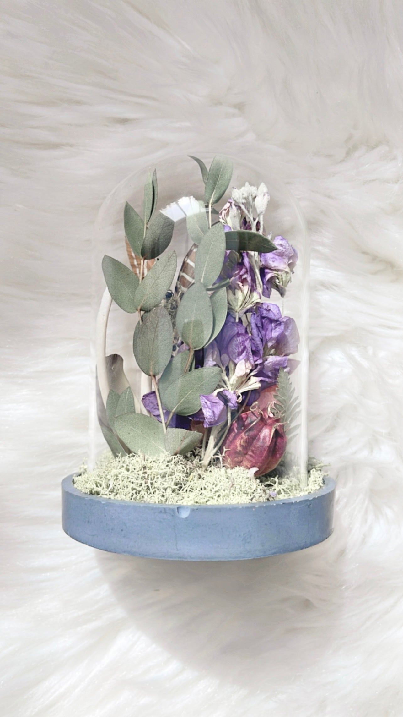 Lilith Terrarium <LOCAL PICK UP ONLY>