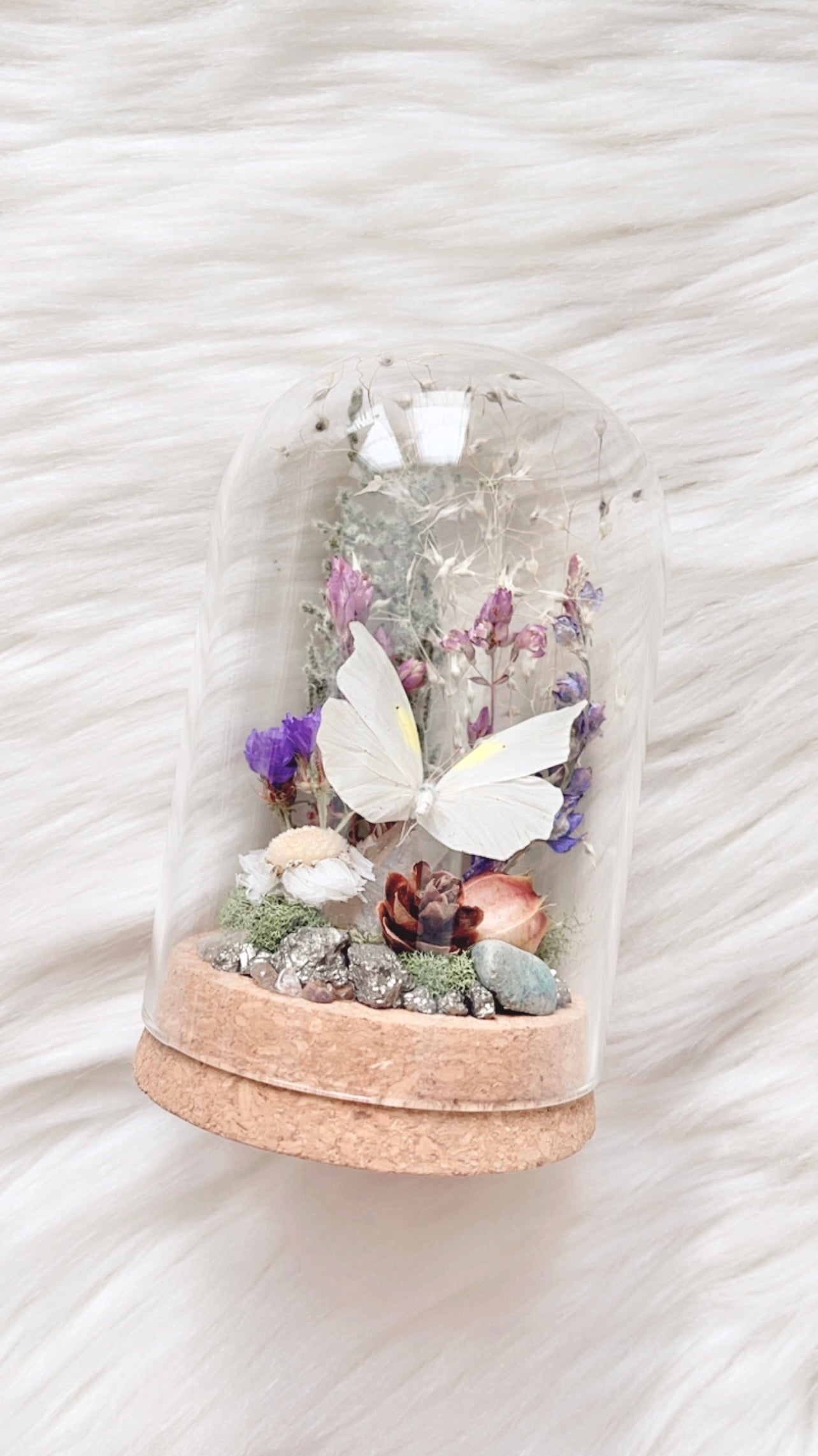 Lillian Terrarium