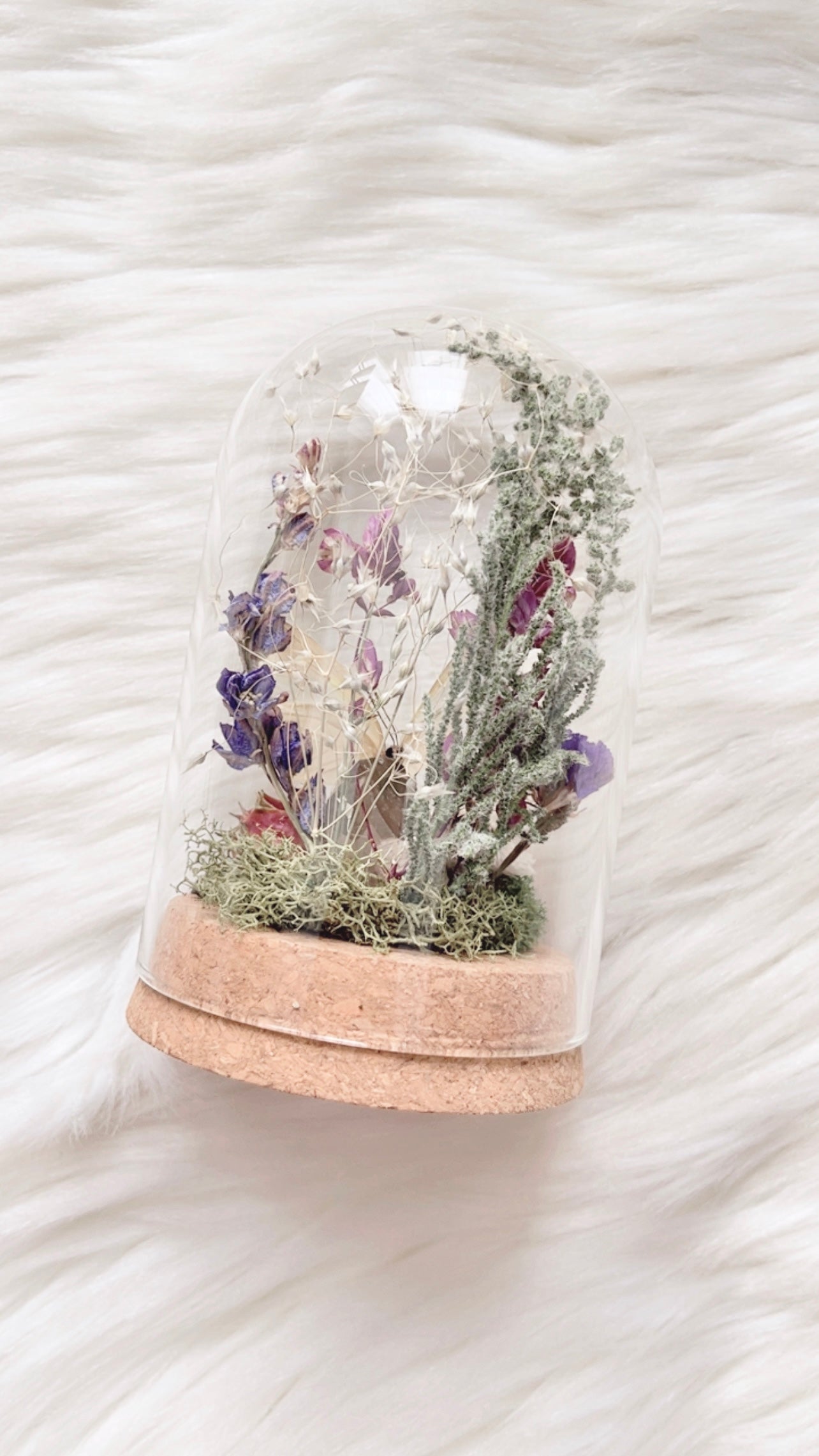 Lillian Terrarium