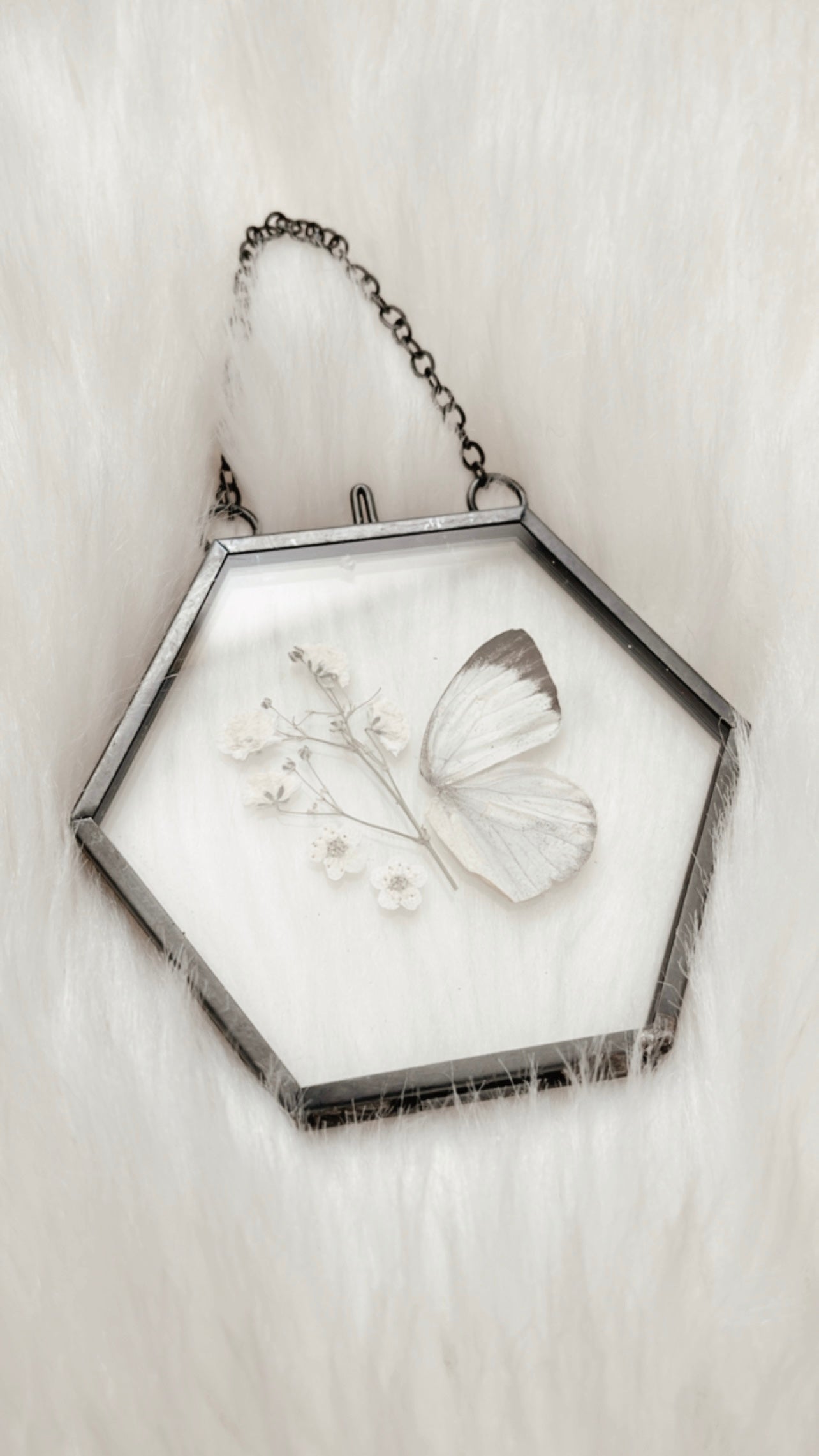 Lillith Butterfly Floral Frame