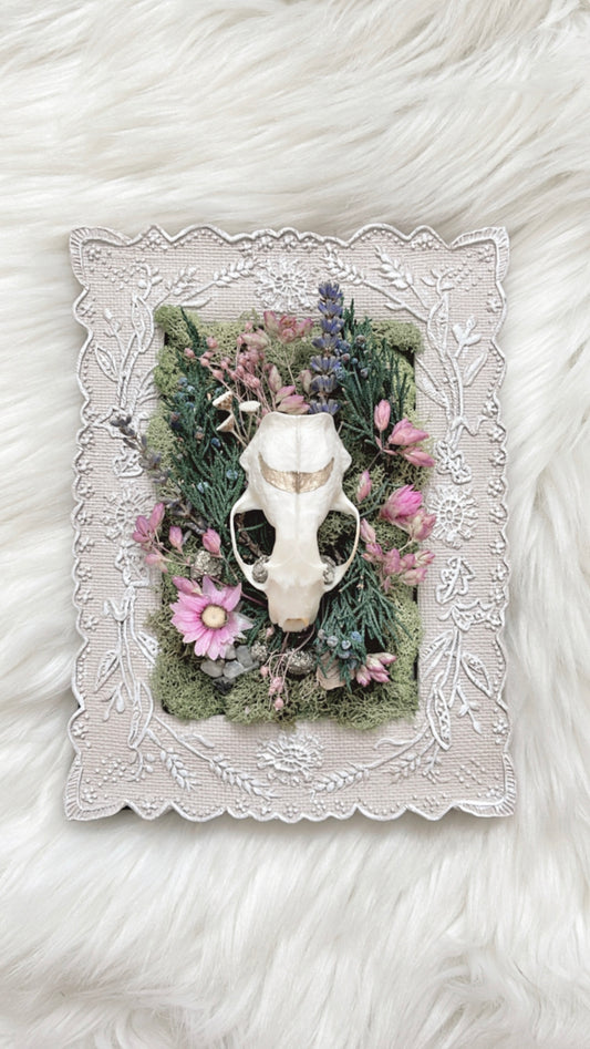 Lily Oddities Frame <Mink Skull>