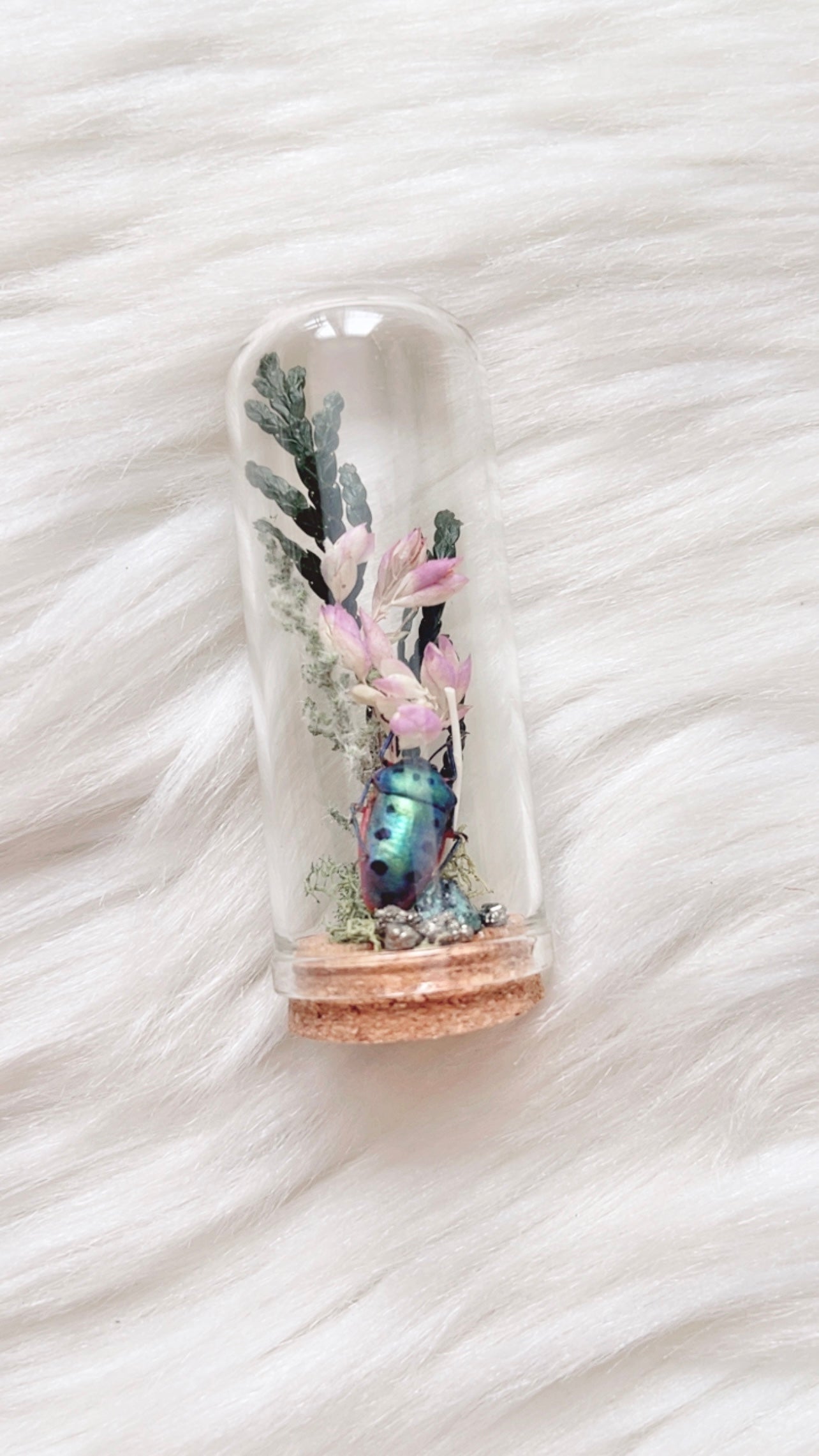 Liv Terrarium