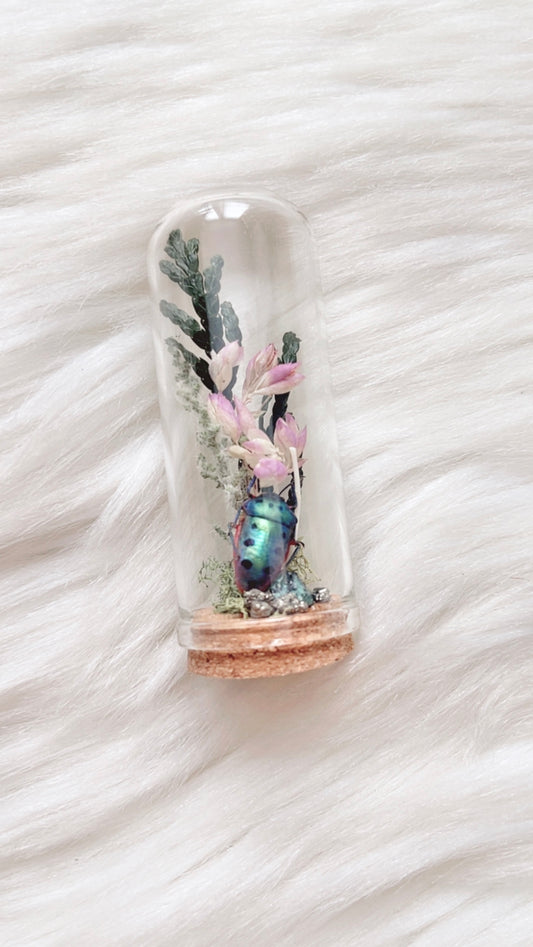 Liv Terrarium