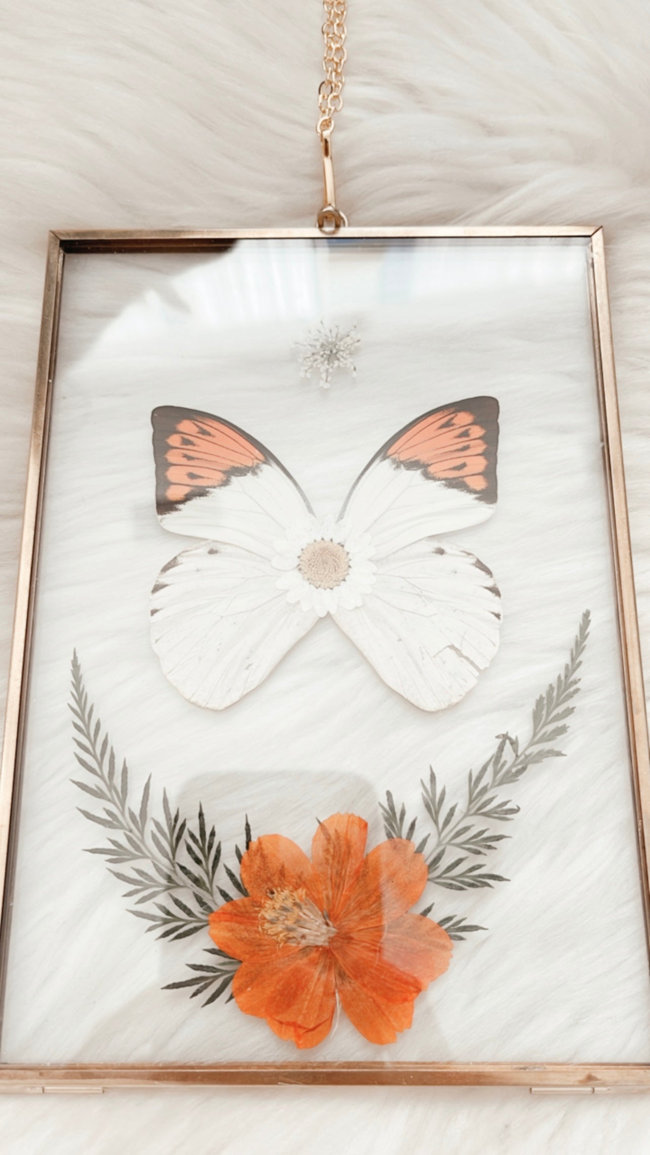 Loretta Butterfly Floral Frame